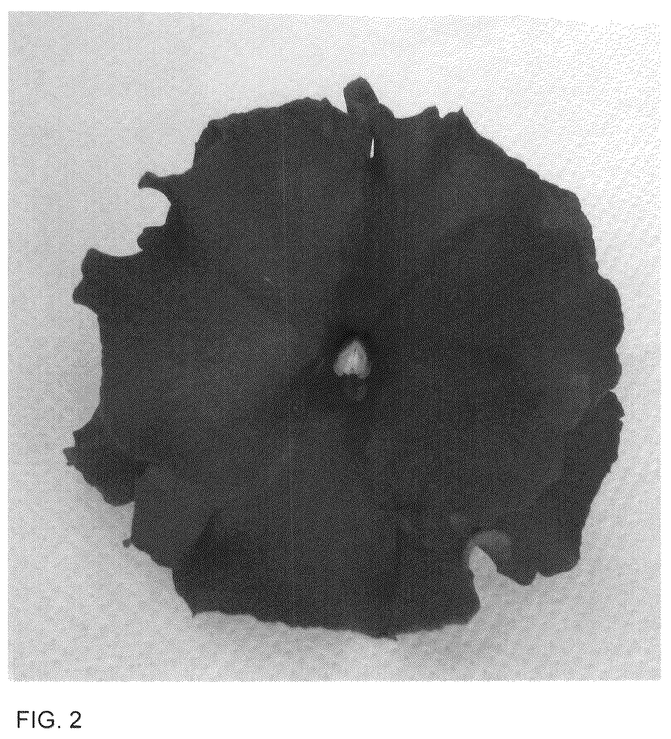 Patent USPP036126 Figure 2 – New guinea impatiens plant named ‘Dongirolcoa’