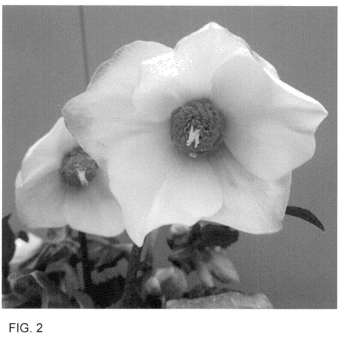 Patent USPP036130 Figure 2 – Helleborus plant named ‘HL 1014’