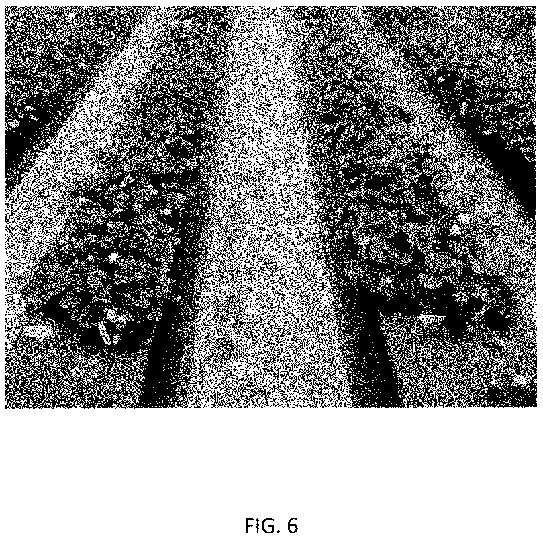Patent USPP036134 Figure 6 – Strawberry plant named ‘CBC015’