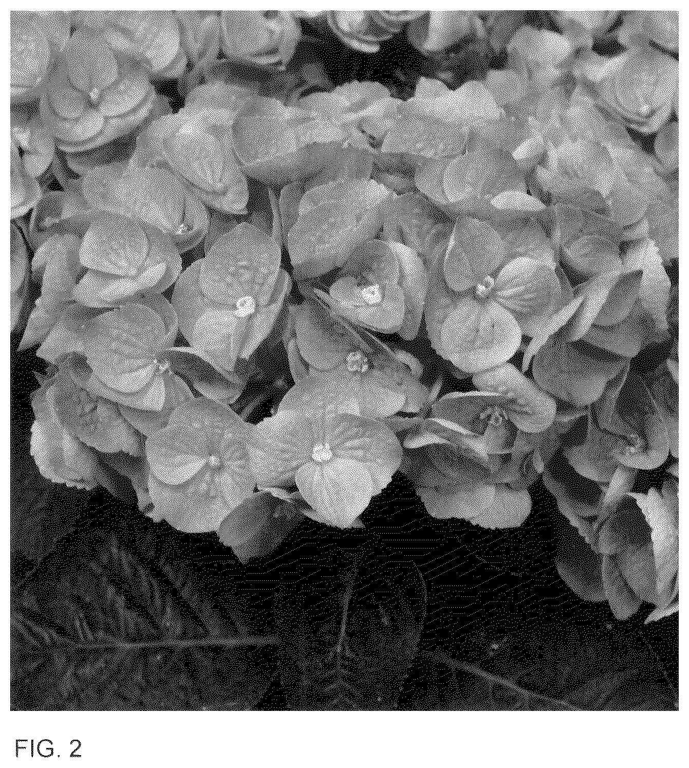 Patent USPP036141 Figure 2 – Hydrangea plant named ‘HIISLA51’