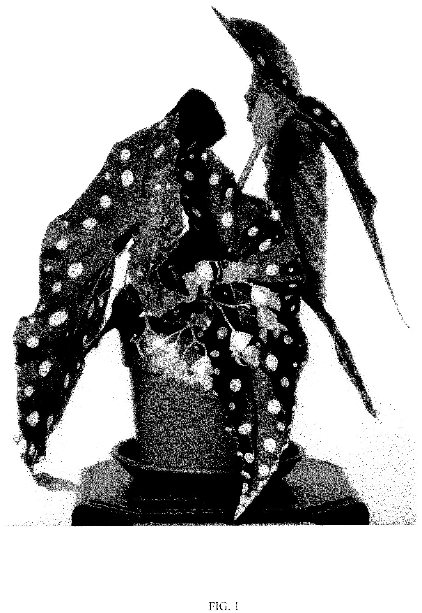 Patent USPP036149 Figure 1 – Begonia plant named ‘EC-BEGO-2305’