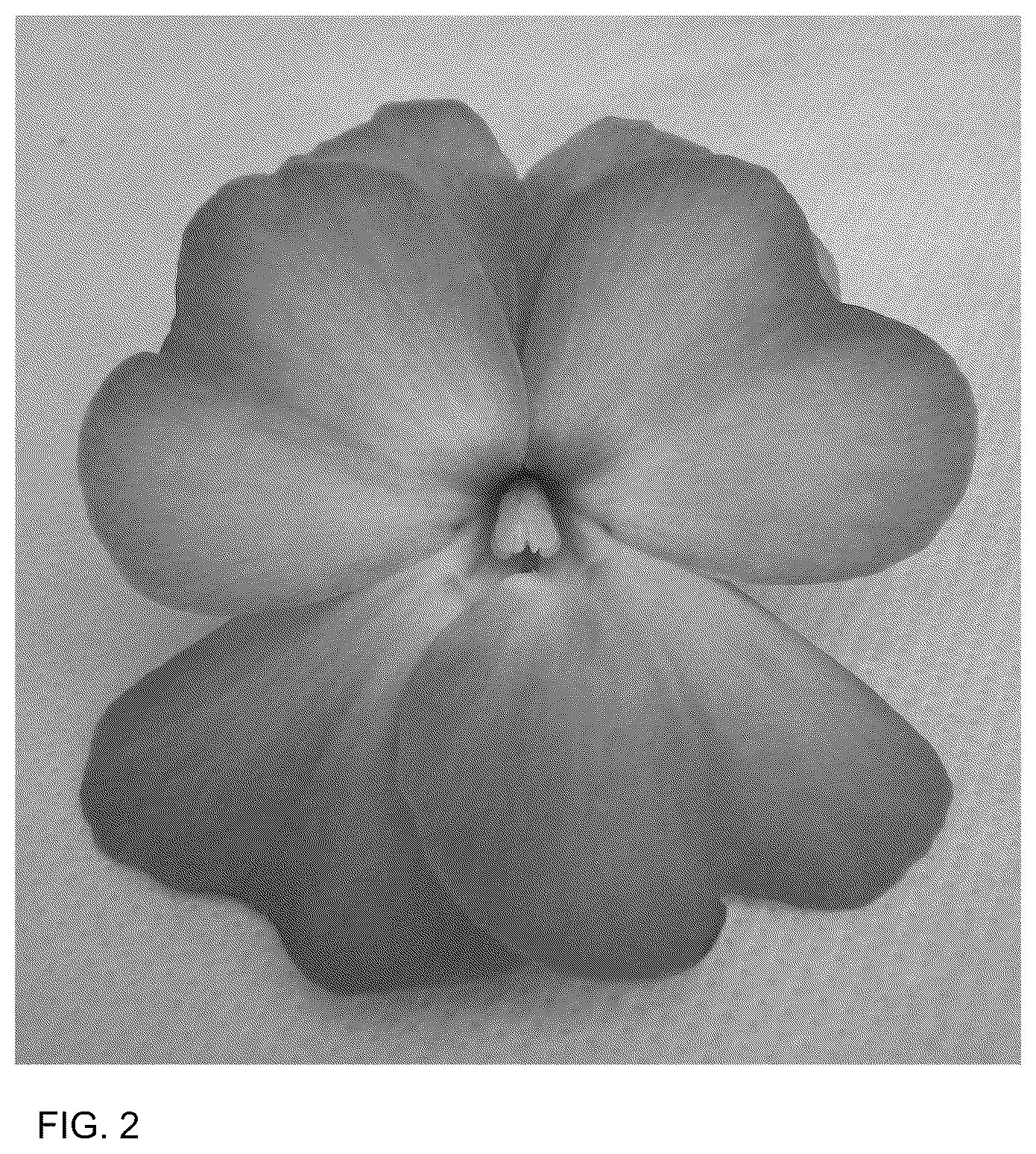 Patent USPP036178 Figure 2 – New Guinea Impatiens plant named ‘Dongipetpiswi’
