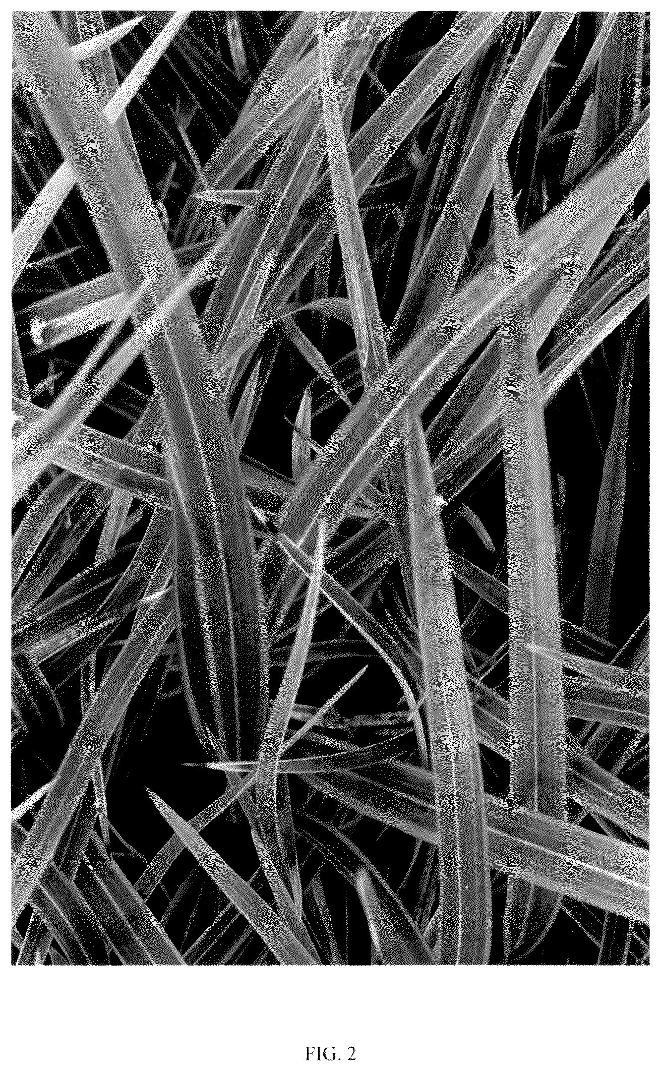 Patent USPP036180 Figure 2 – Phormium plant named ‘KFPHPM18’
