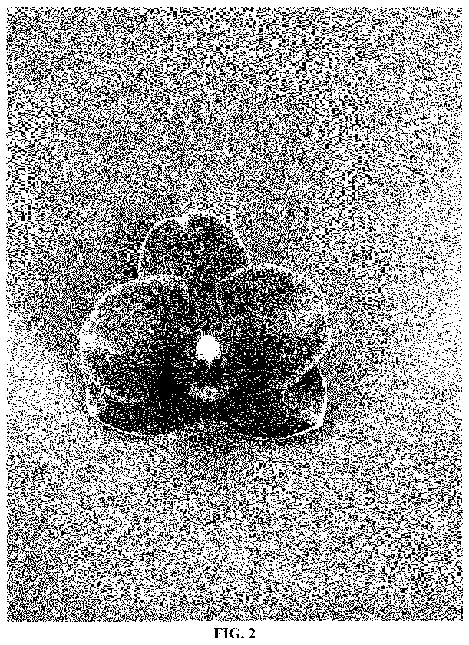 Patent USPP036230 Figure 2 – Phalaenopsis orchid plant named ‘PHA279943’