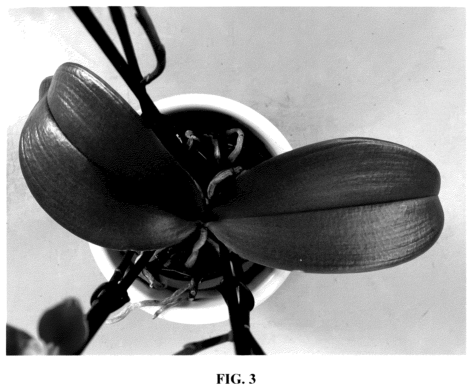 Patent USPP036230 Figure 3 – Phalaenopsis orchid plant named ‘PHA279943’