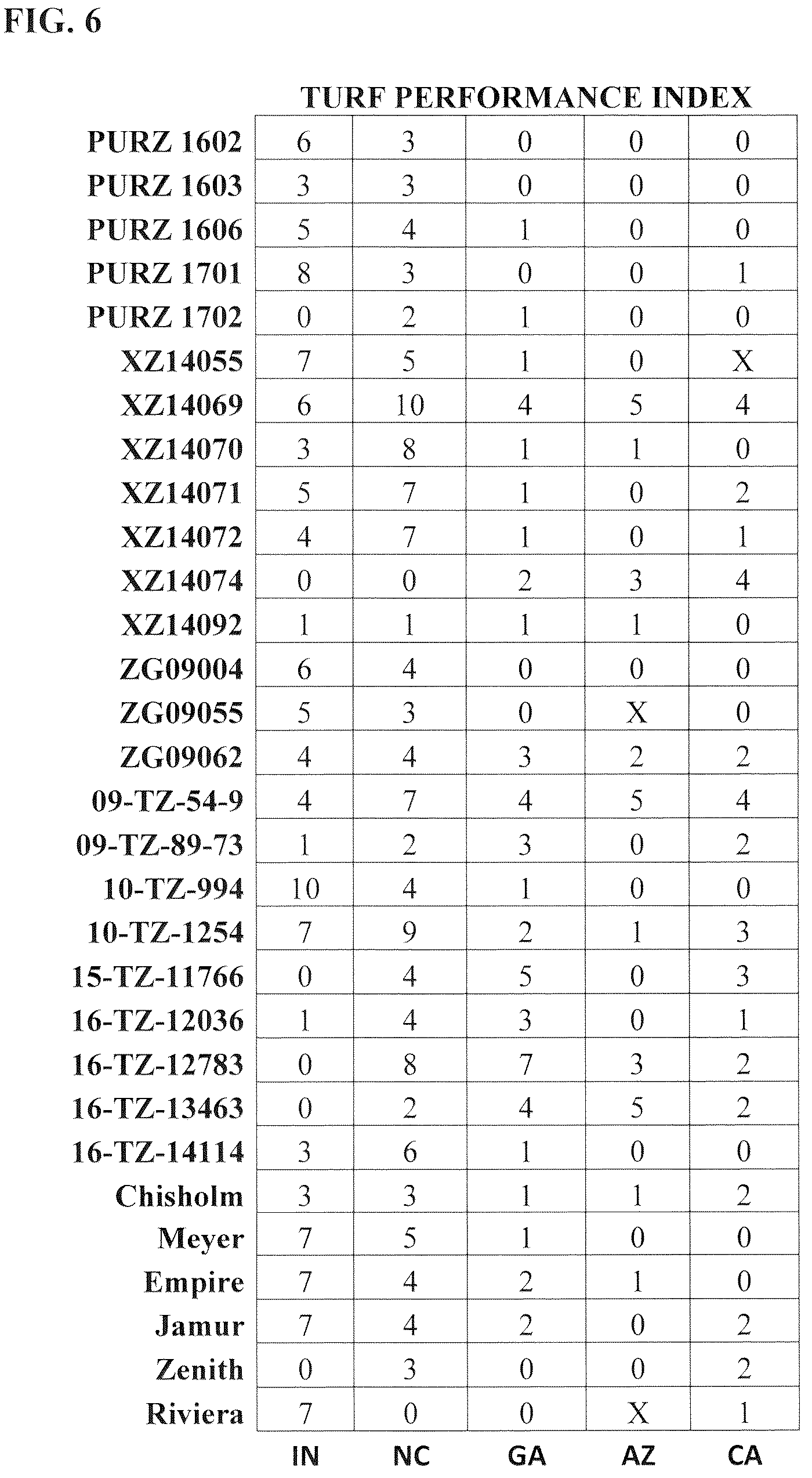 Patent USPP036252 Figure 6 – Zoysiagrass plant named ‘XZ 14069’