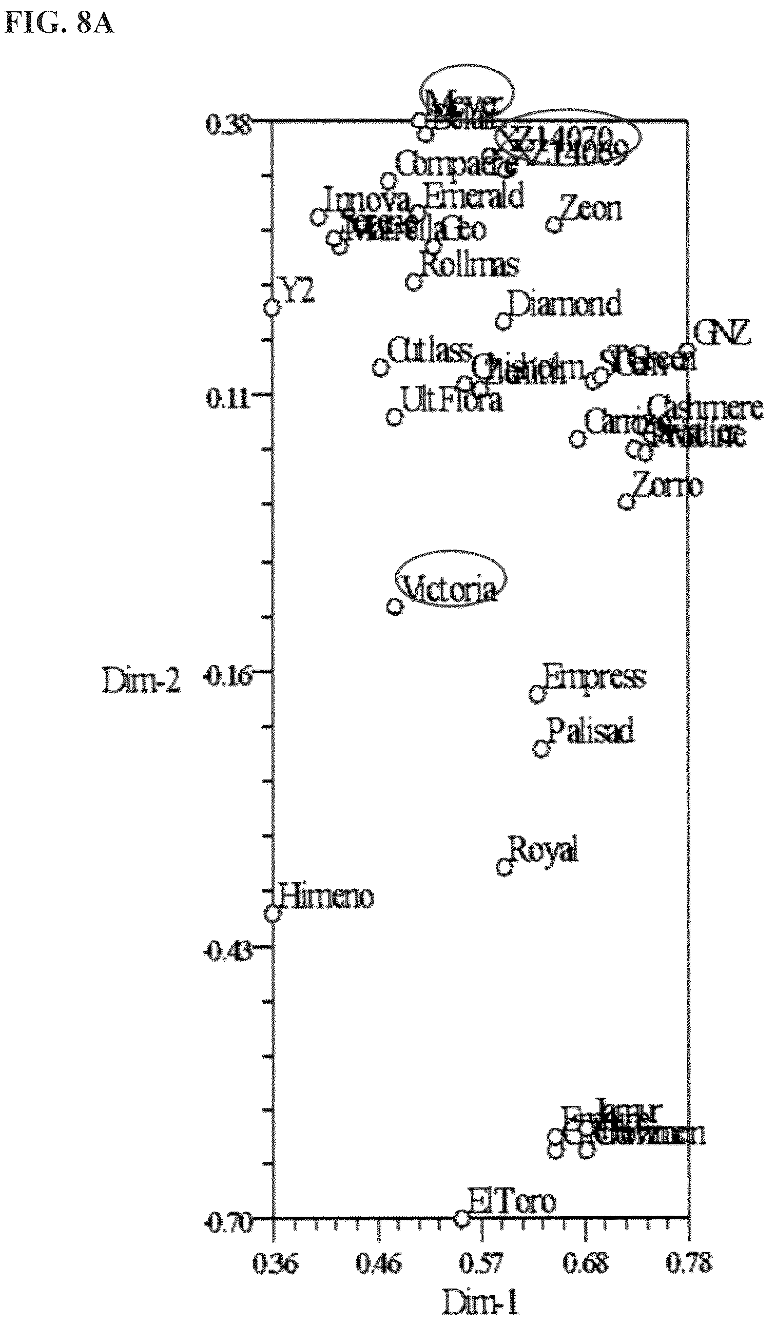 Patent USPP036252 Figure 8 – Zoysiagrass plant named ‘XZ 14069’