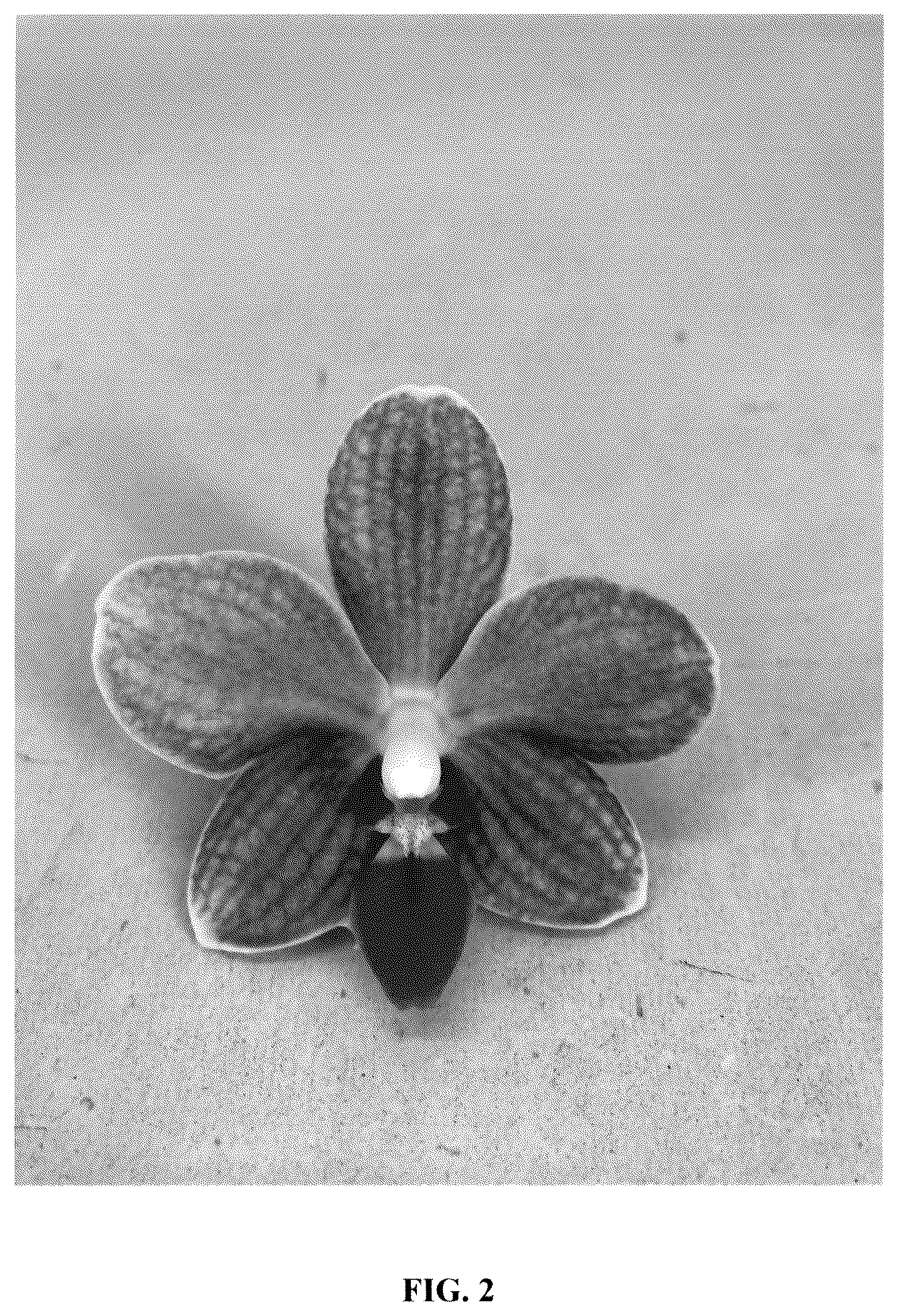 Patent USPP036257 Figure 2 – Phalaenopsis orchid plant named ‘PHA578420’