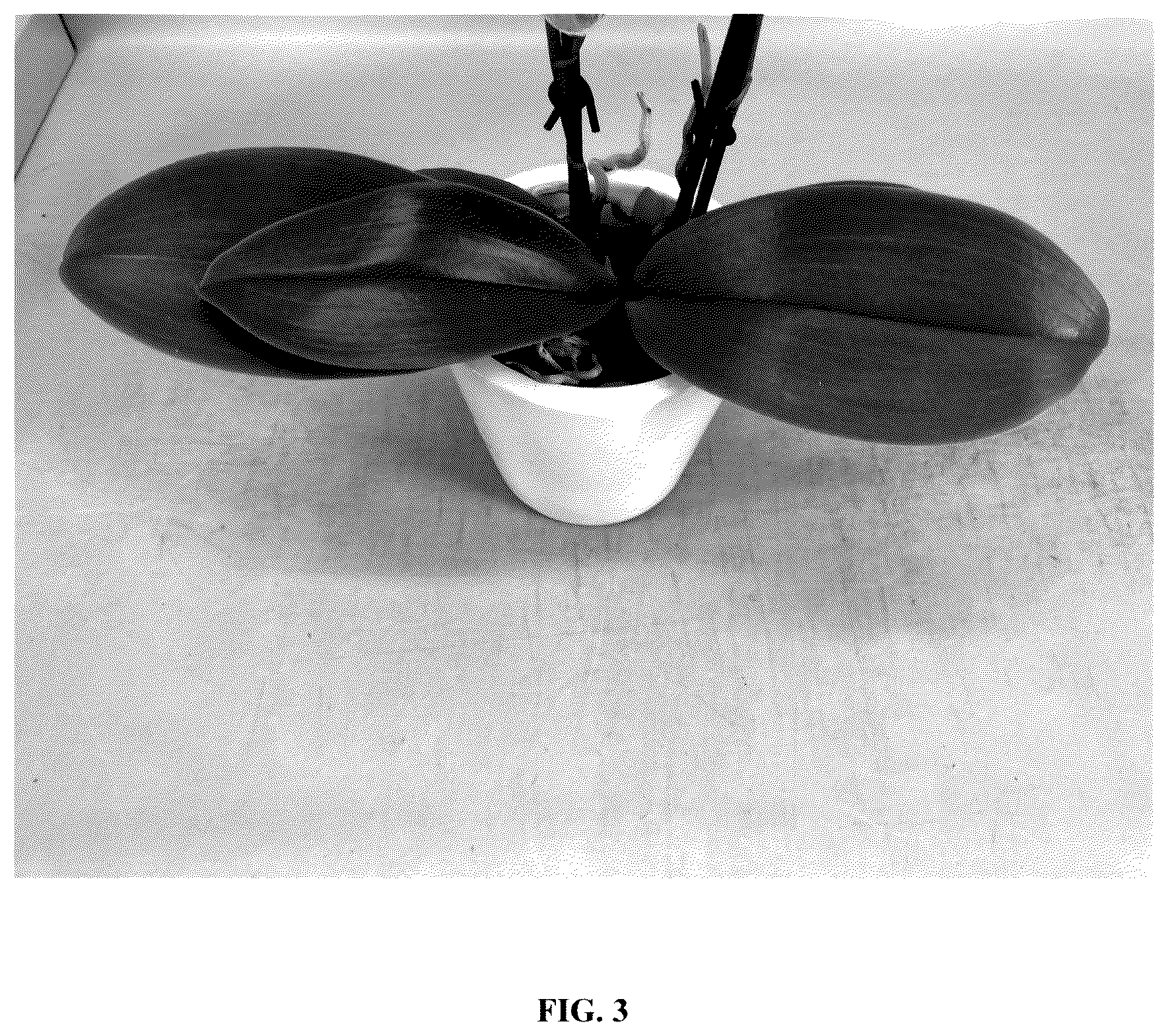 Patent USPP036257 Figure 3 – Phalaenopsis orchid plant named ‘PHA578420’