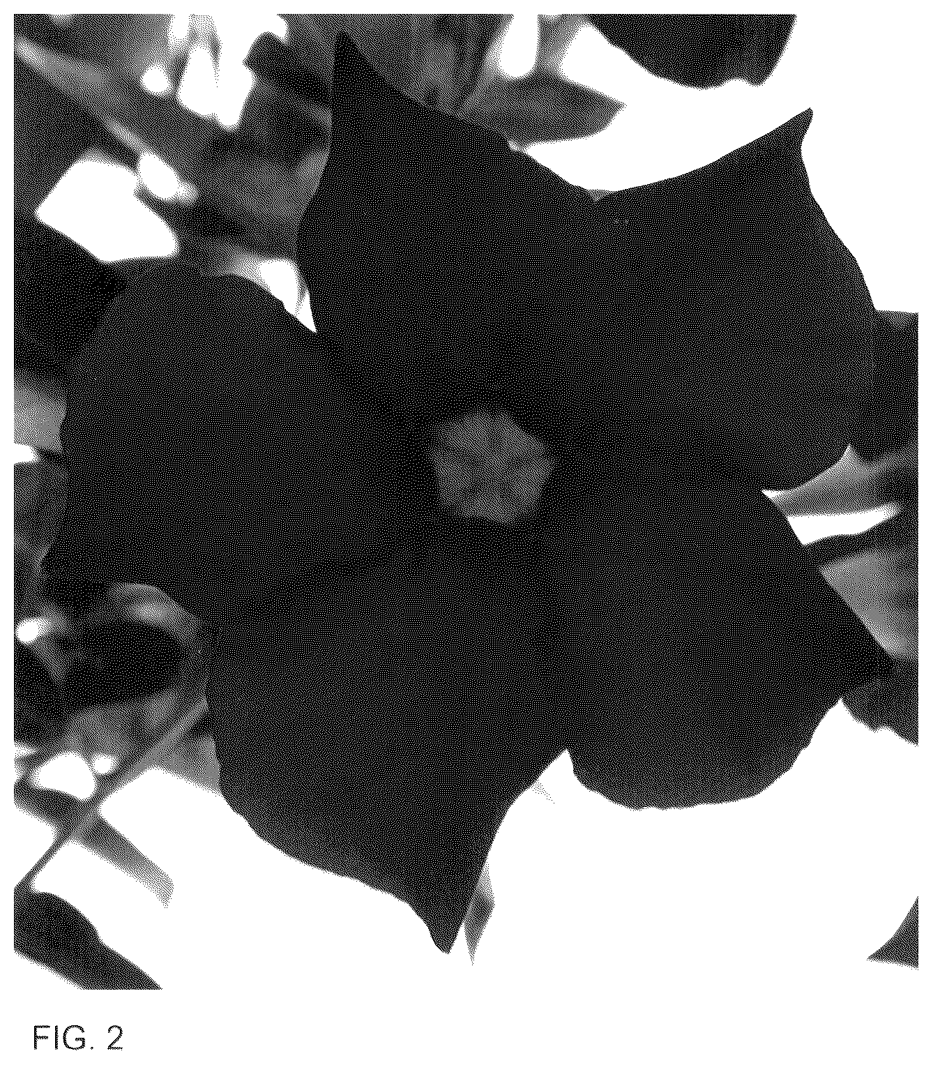 Patent USPP036283 Figure 2 – Mandevilla plant named ‘Inmanbemag’