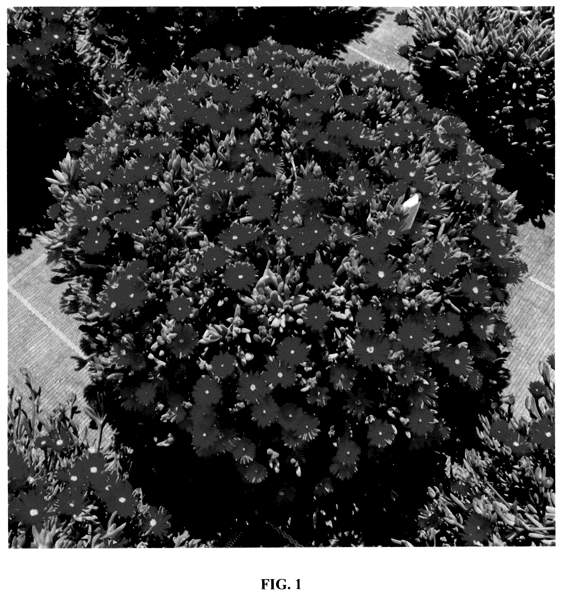 Patent USPP036295 Figure 1 – Delosperma plant named ‘FSDD2112’