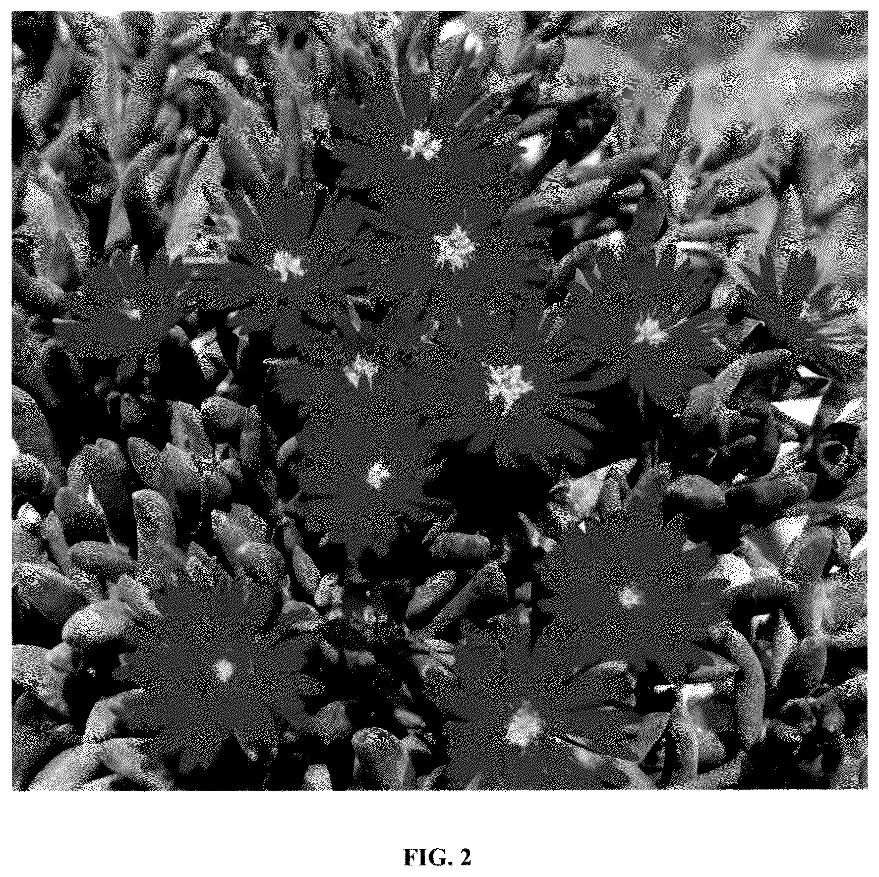 Patent USPP036295 Figure 2 – Delosperma plant named ‘FSDD2112’
