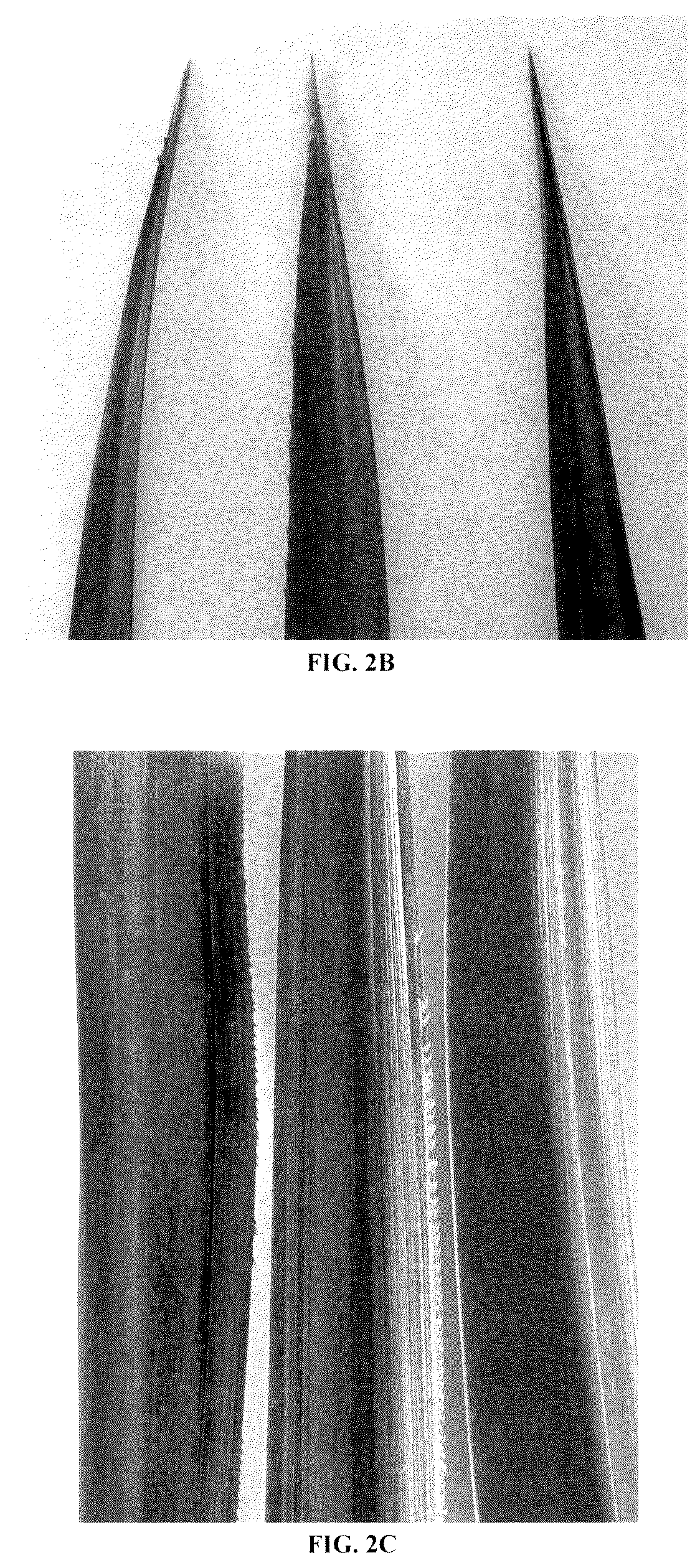 Patent USPP036298 Figure 3 – Pineapple plant named ‘HND-32’