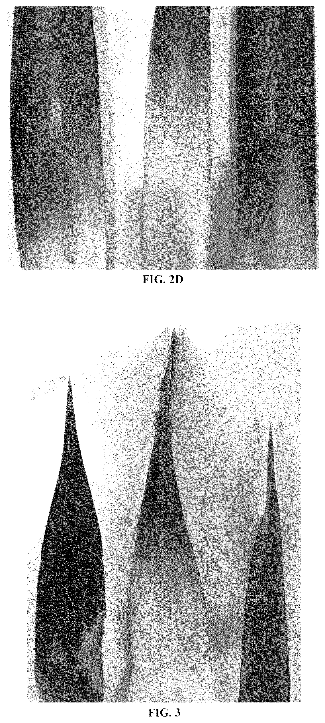 Patent USPP036298 Figure 4 – Pineapple plant named ‘HND-32’