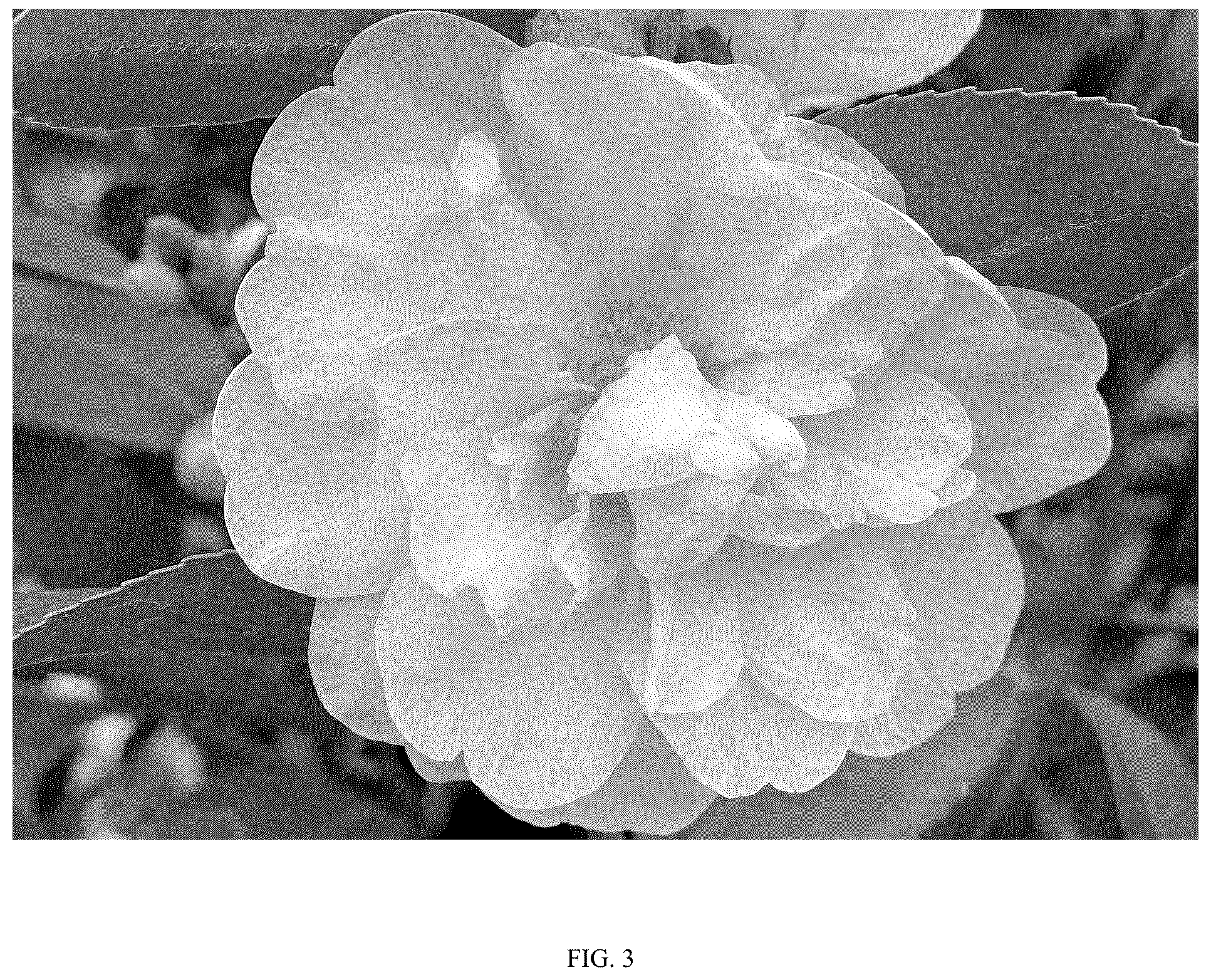 Patent USPP036304 Figure 3 – Camellia plant named ‘FARROWCJWD’