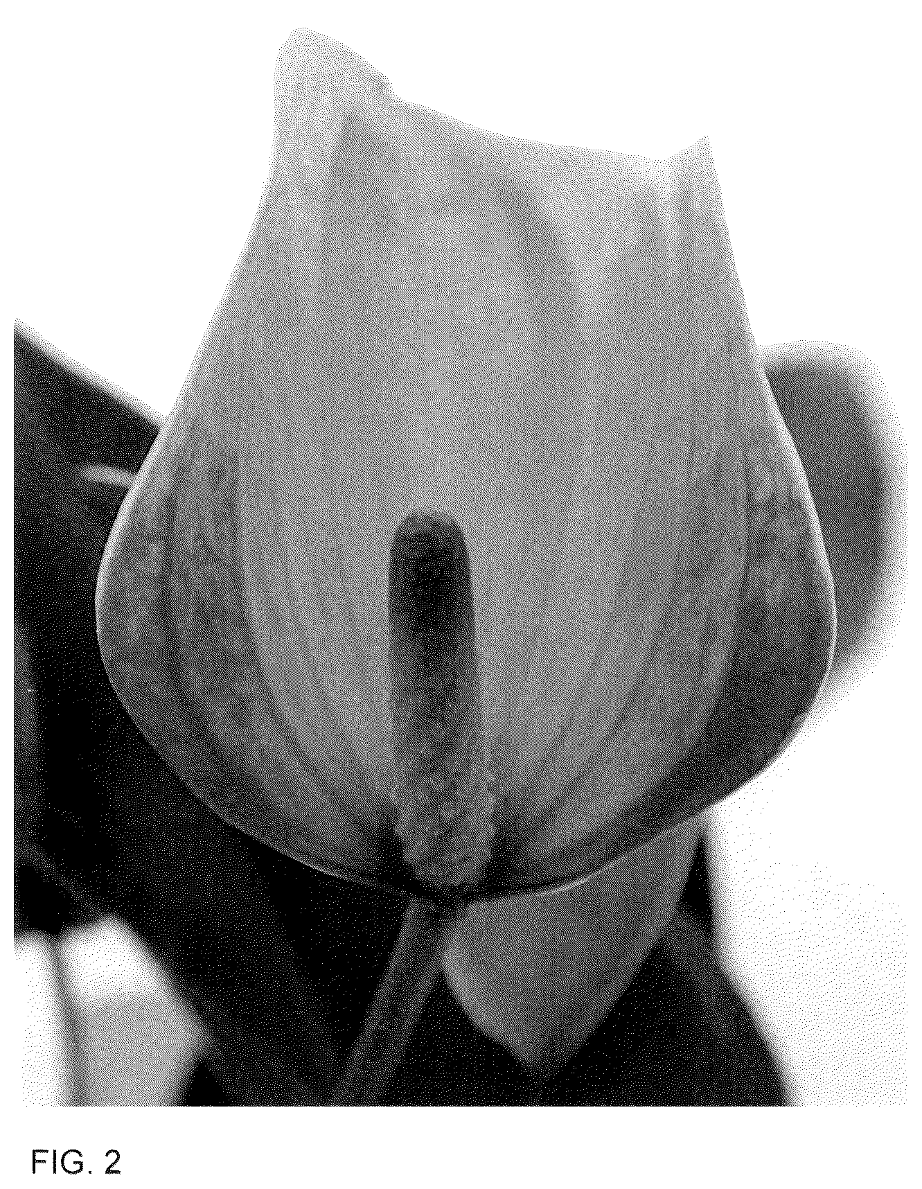 Patent USPP036310 Figure 2 – Anthurium plant named ‘AN2180756’