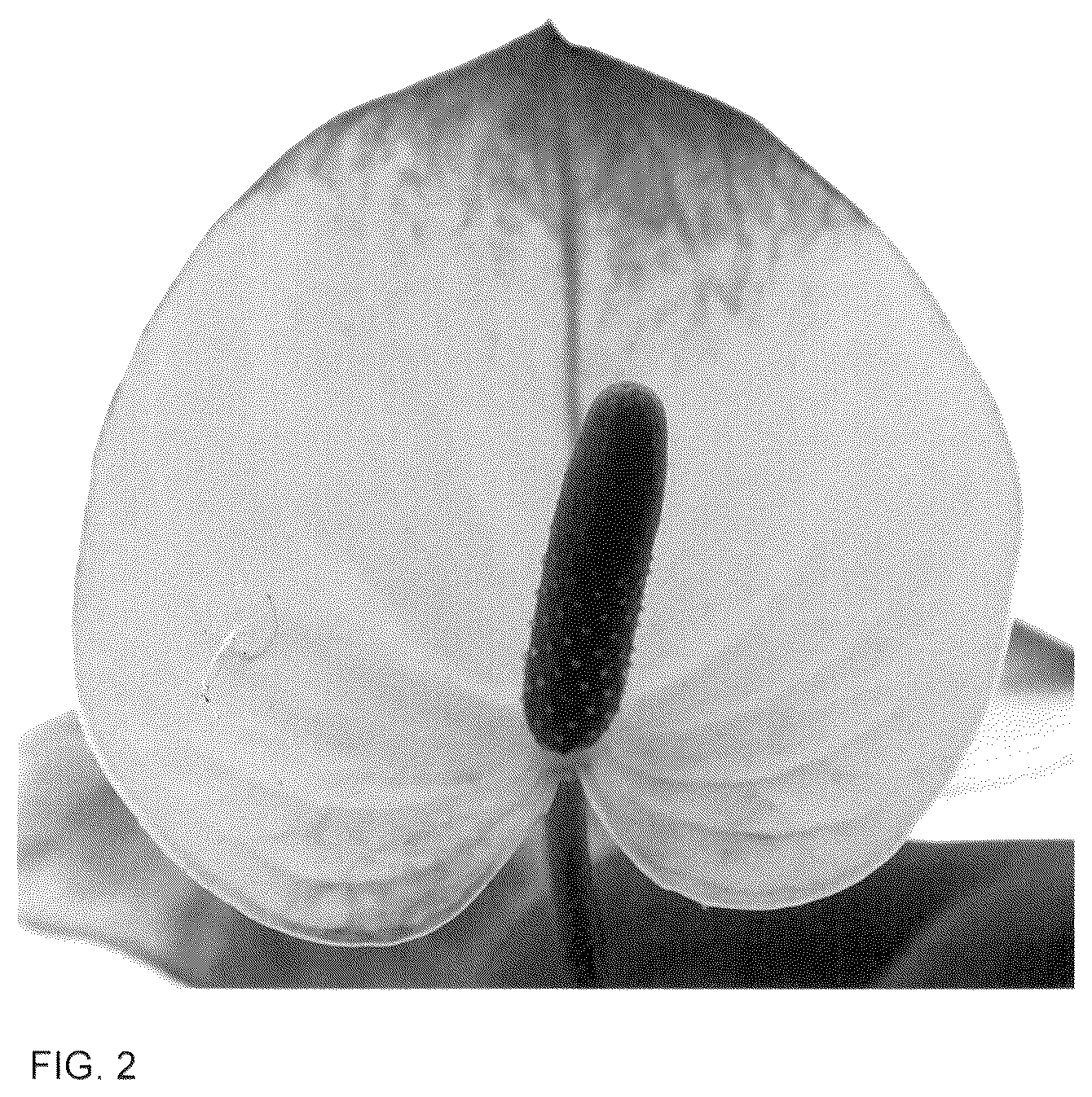 Patent USPP036312 Figure 2 – Anthurium plant named ‘AN2704879’