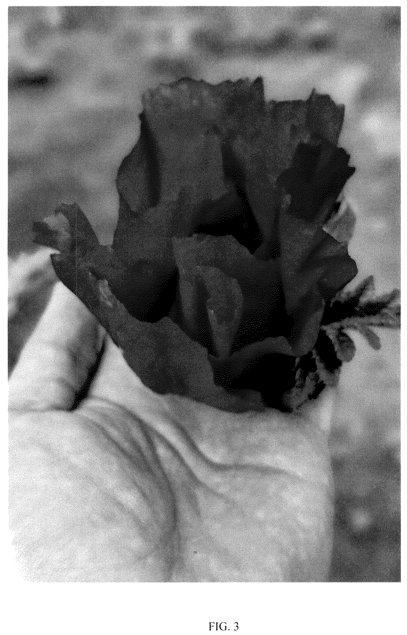 Patent USPP036315 Figure 3 – Papaver plant named ‘HG01’