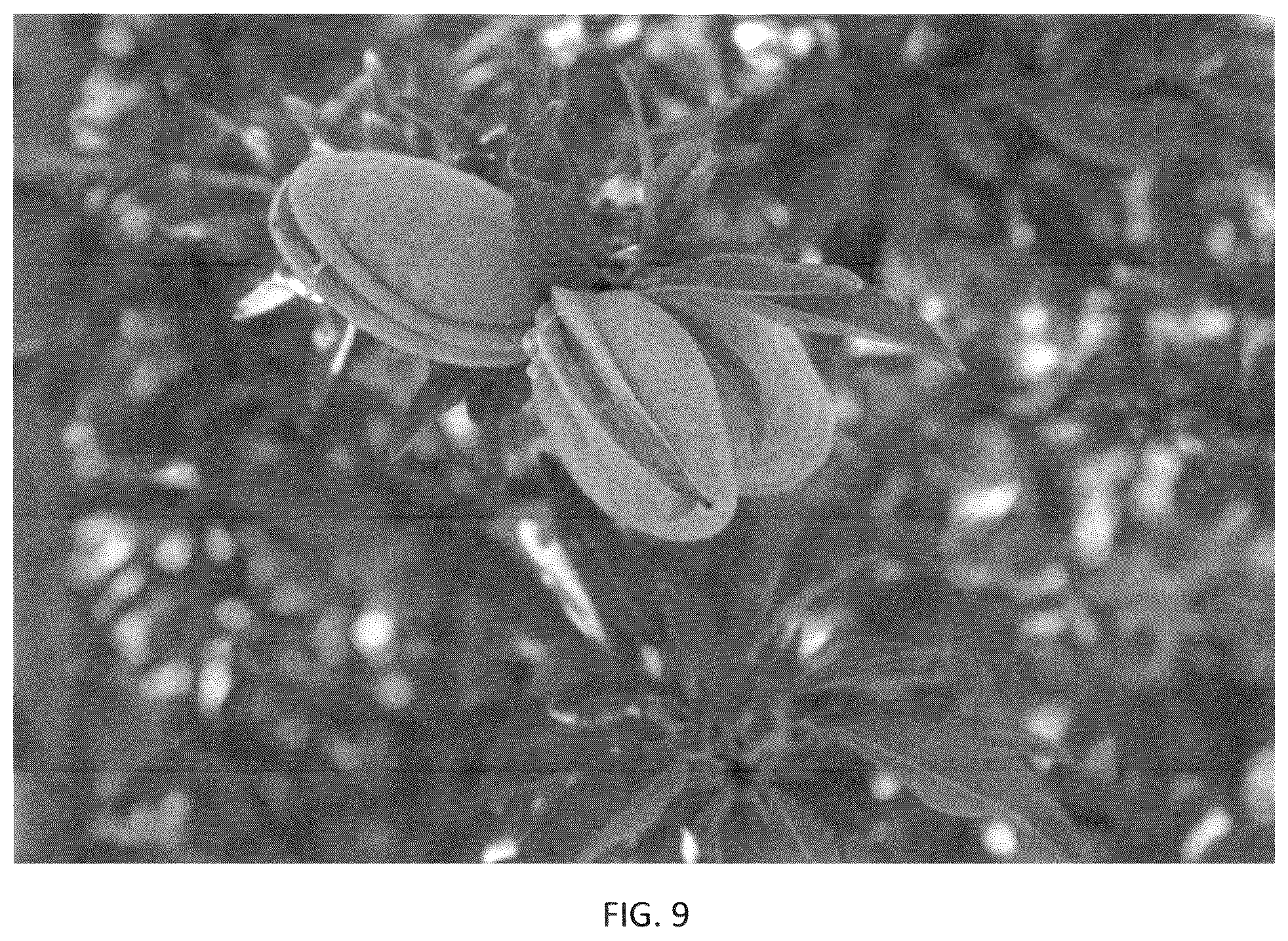 Patent USPP036318 Figure 9 – Almond tree named ‘PH-2019’