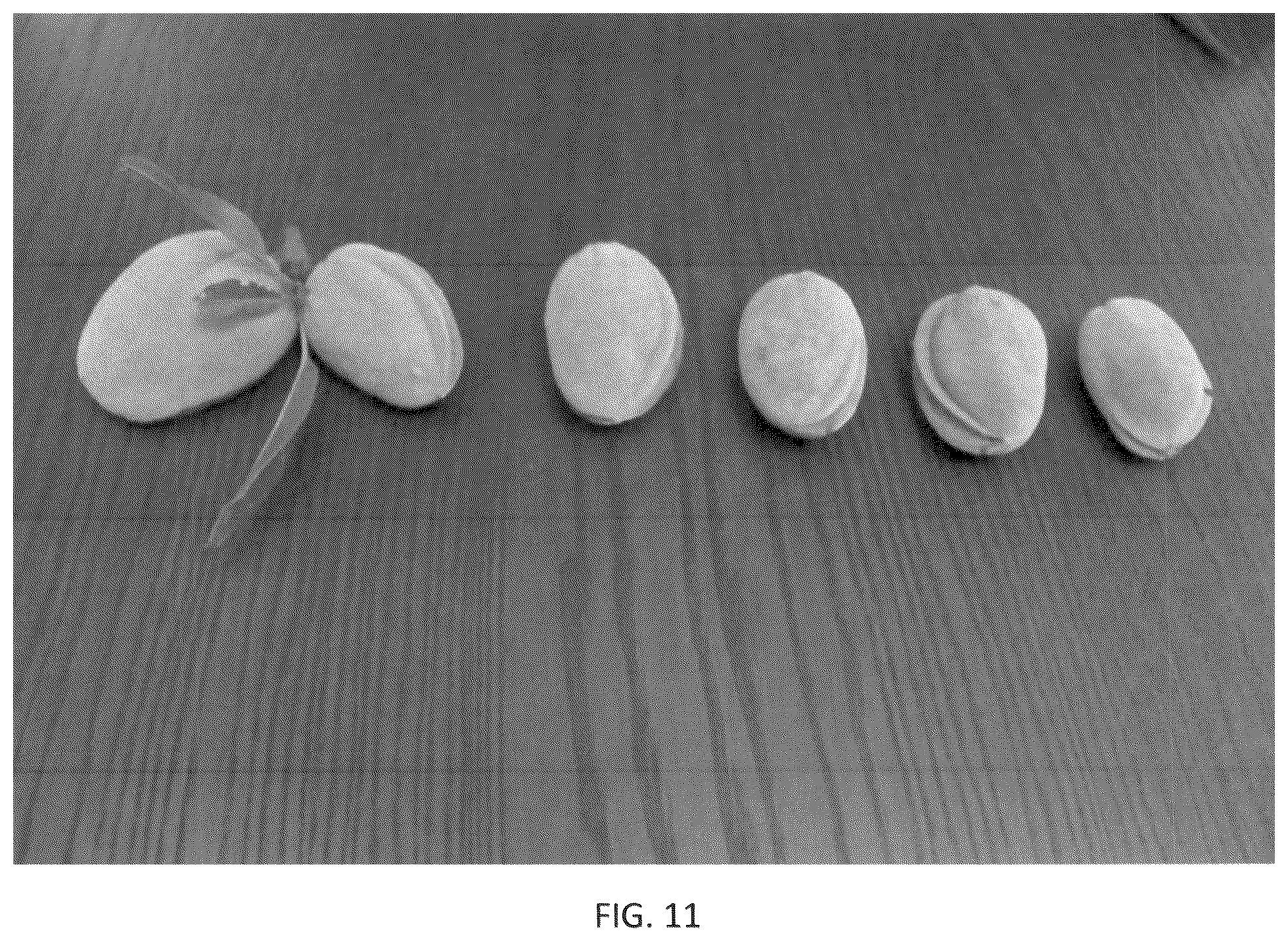 Patent USPP036318 Figure 11 – Almond tree named ‘PH-2019’