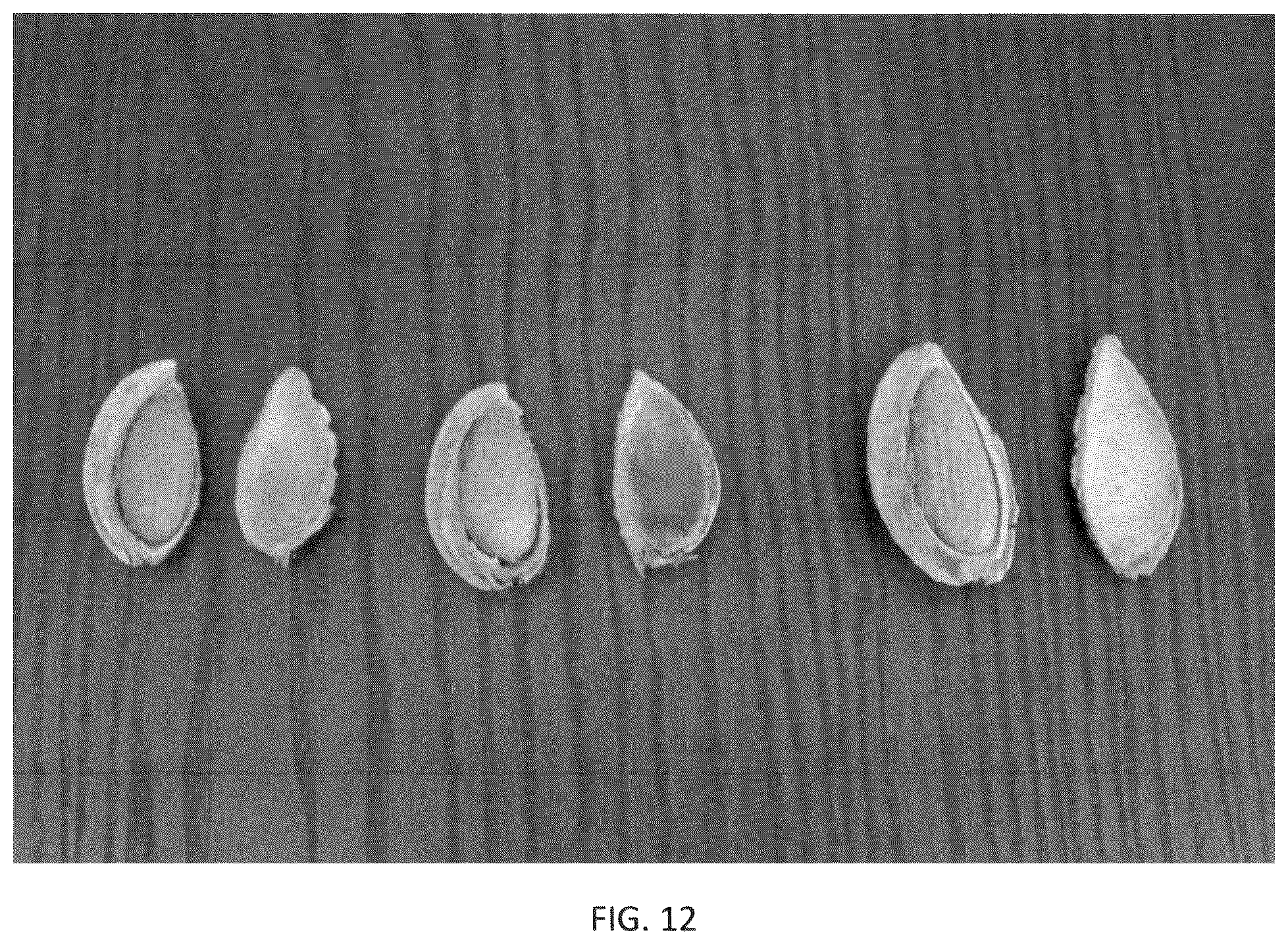 Patent USPP036318 Figure 12 – Almond tree named ‘PH-2019’