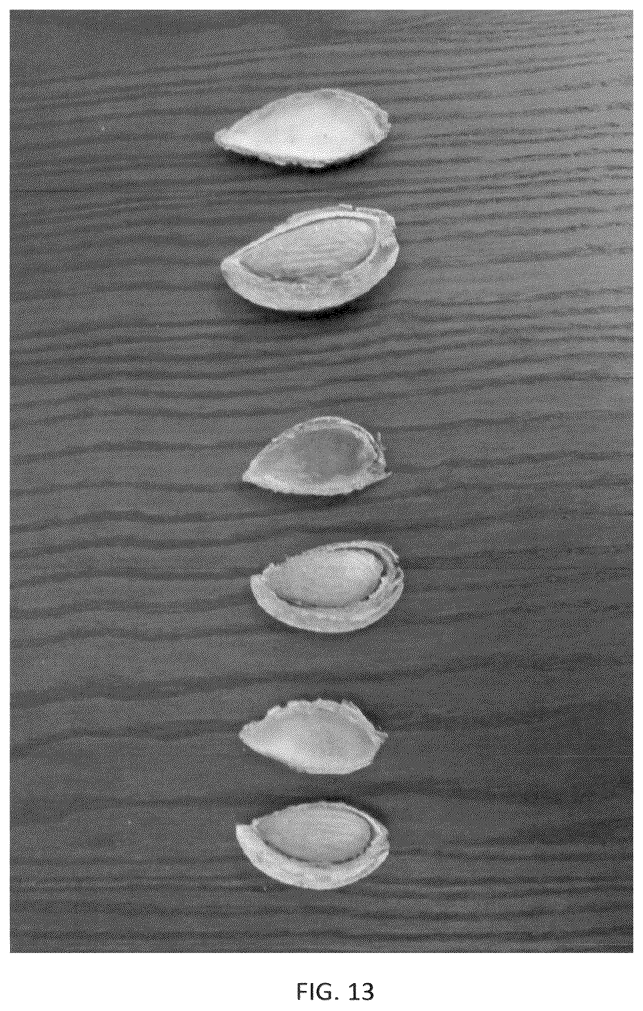Patent USPP036318 Figure 13 – Almond tree named ‘PH-2019’