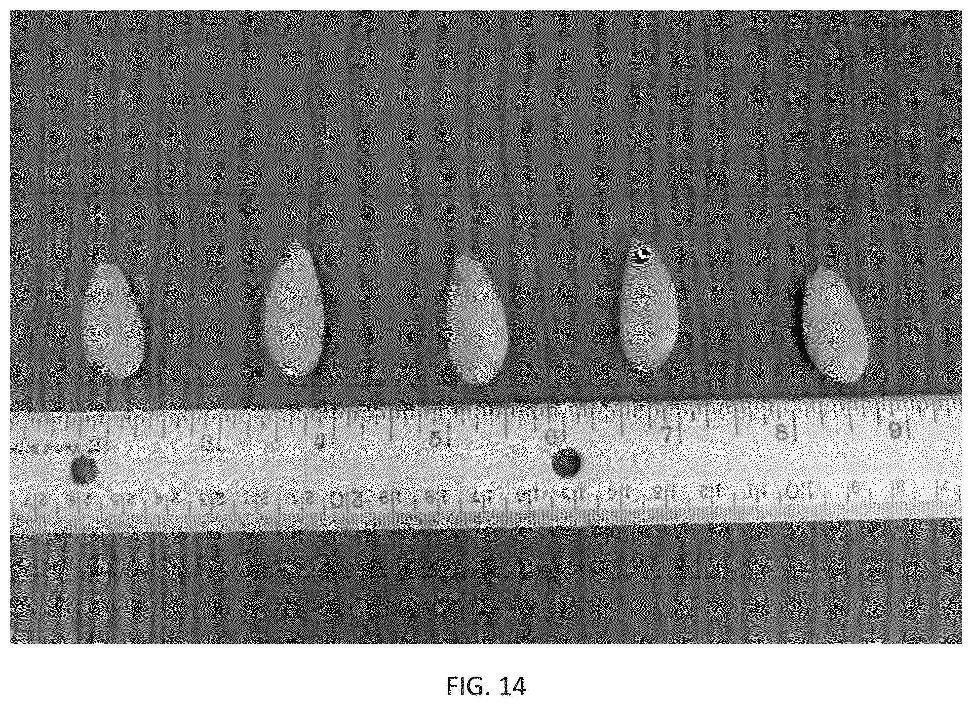 Patent USPP036318 Figure 14 – Almond tree named ‘PH-2019’