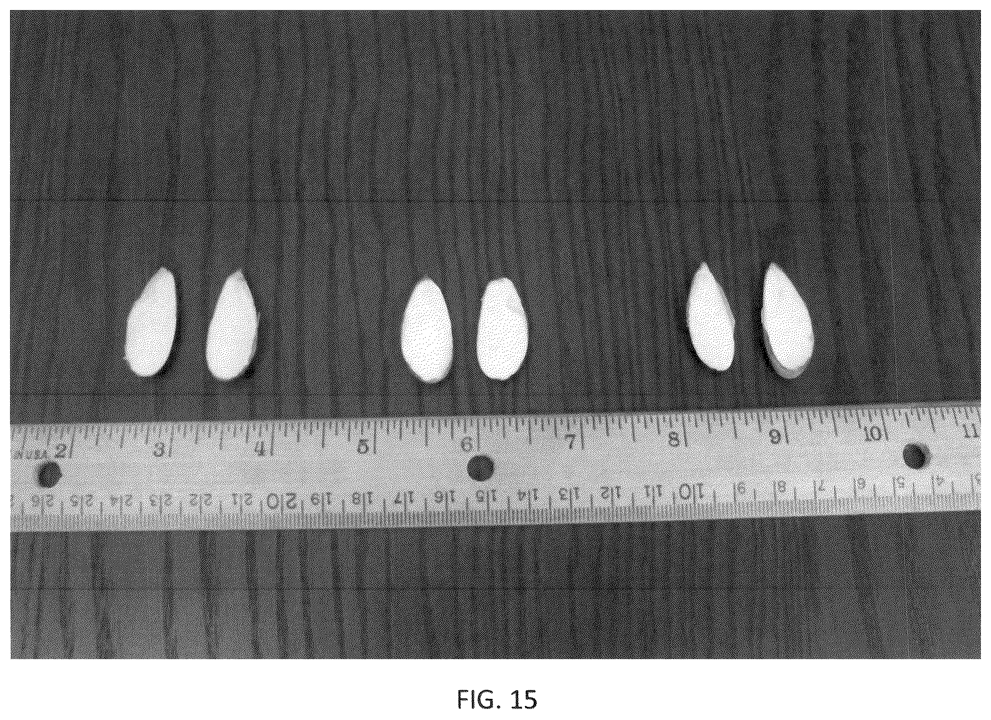 Patent USPP036318 Figure 15 – Almond tree named ‘PH-2019’