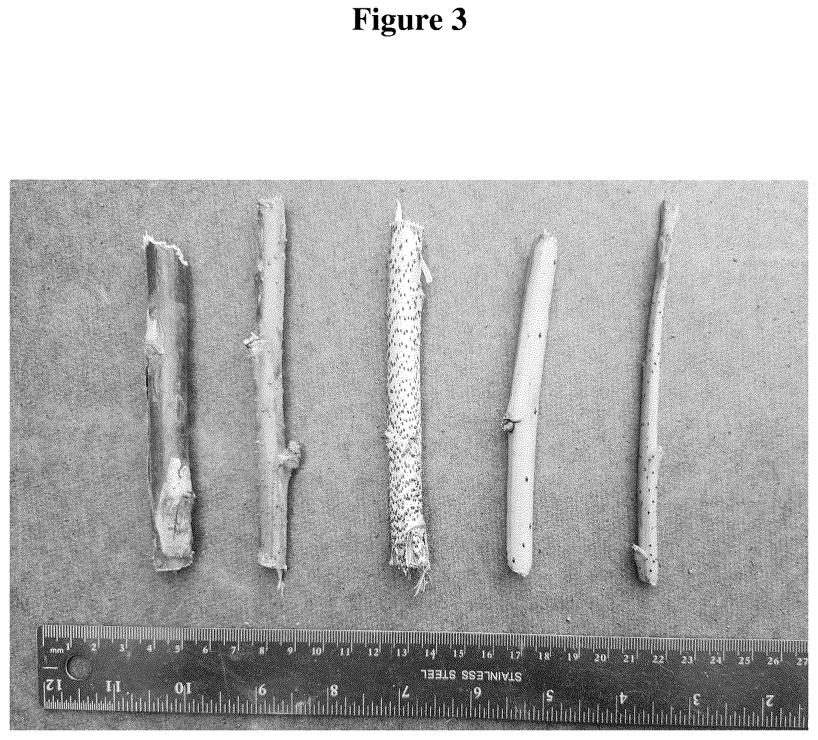 Patent USPP036320 Figure 3 – Raspberry plant named ‘WSU 2188’