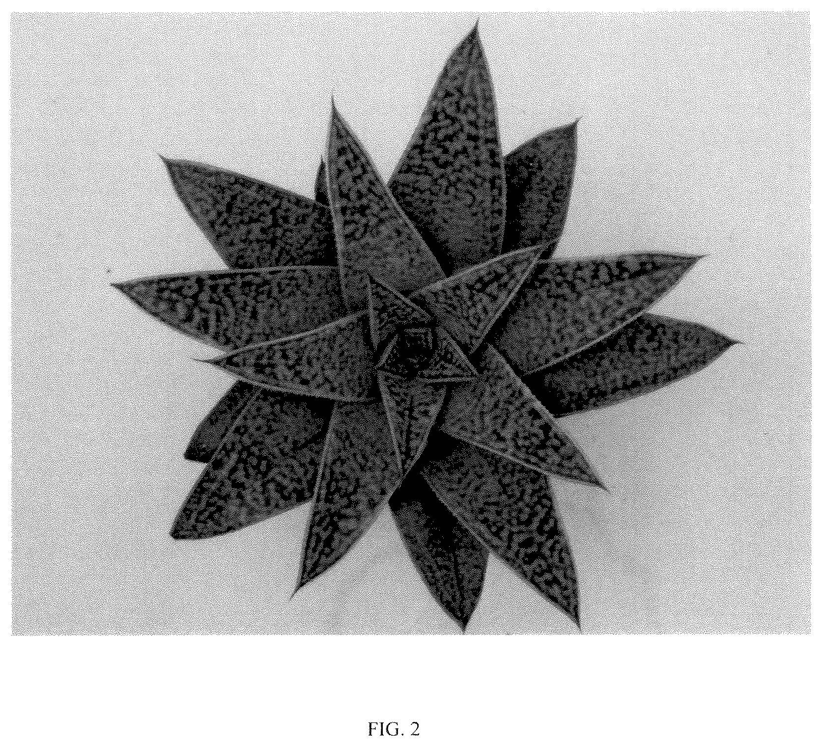 Patent USPP036327 Figure 2 – Gasteraloe plant named ‘BINL-19076’