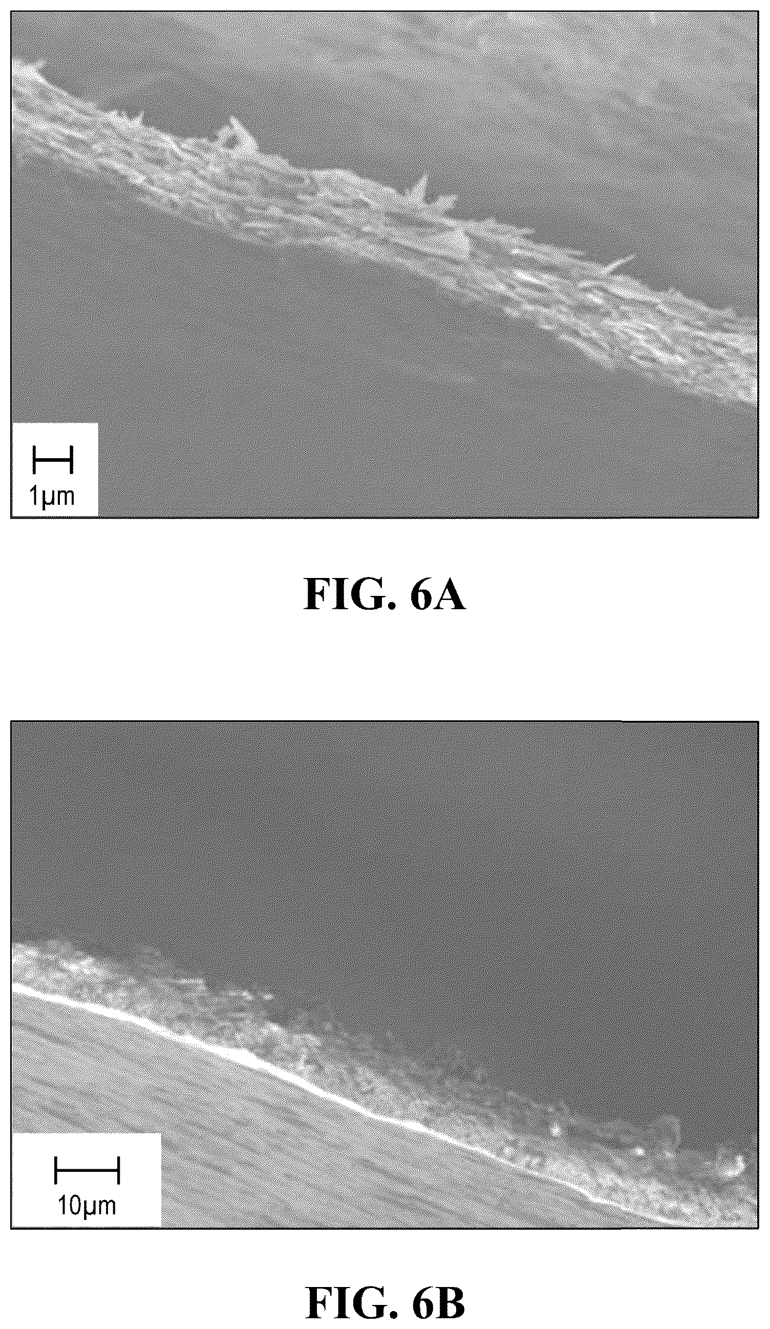 Patent US12297112 Figure 5 – Graphene and graphene derivatives as substrate coatings
