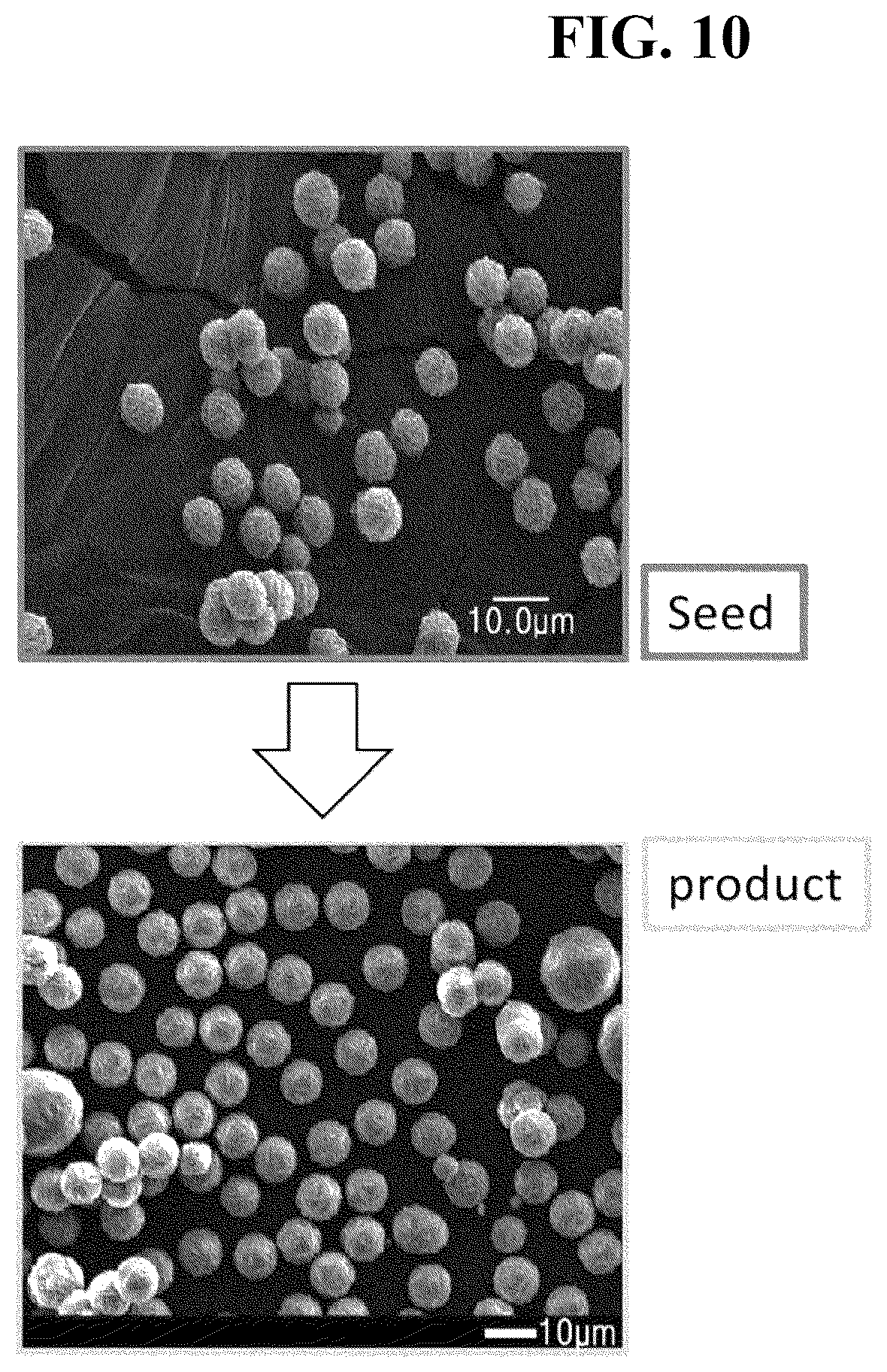 Patent US12297117 Figure 7 – Aluminosilicate structure body having novel structure and skein-shaped morphology, method for preparing same, and HPLC column filled with same as static bed