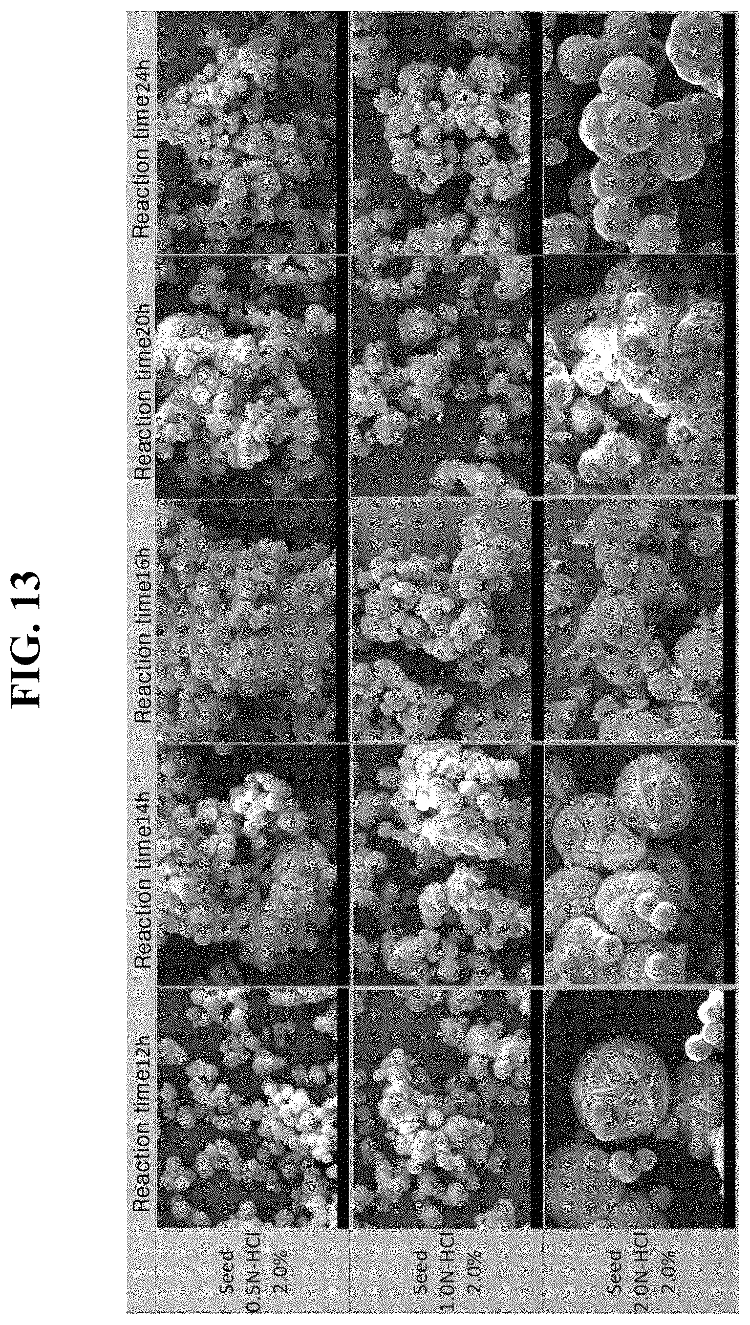 Patent US12297117 Figure 9 – Aluminosilicate structure body having novel structure and skein-shaped morphology, method for preparing same, and HPLC column filled with same as static bed