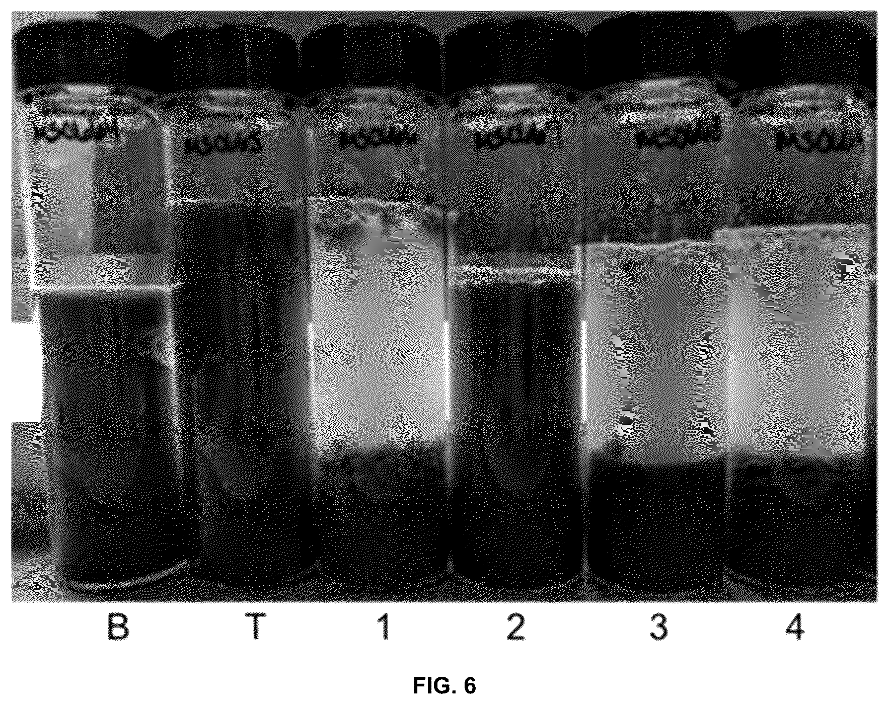 Patent US12297155 Figure 8 – Organic flocculant and fertilizer