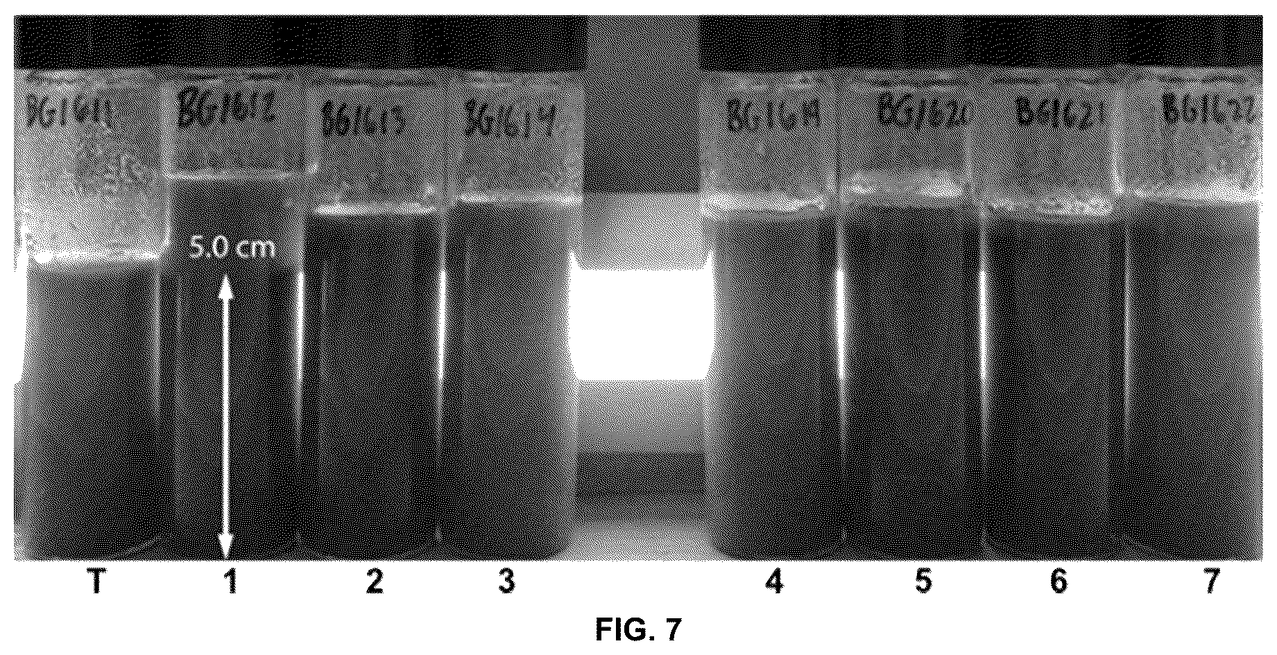 Patent US12297155 Figure 9 – Organic flocculant and fertilizer