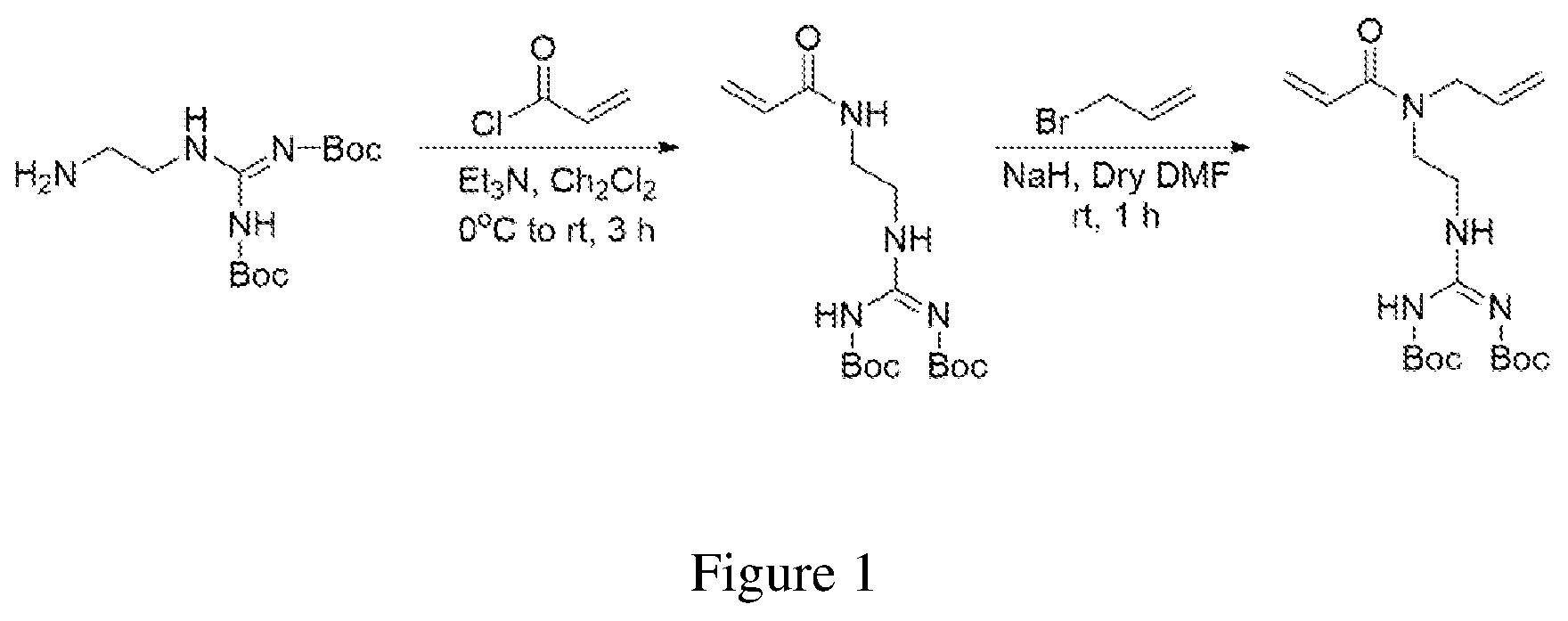 Patent US12297165 — Oligothioetheramides (oligoteas) as anti-microbial and anti-bacterial agents — Figure 1