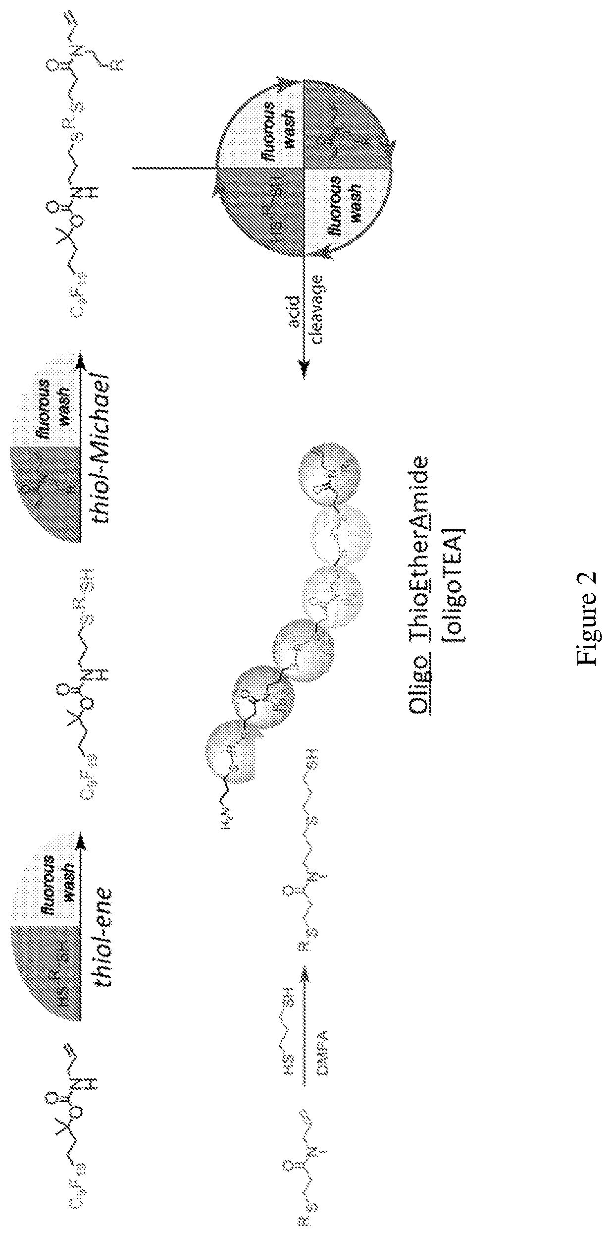 Patent US12297165 Figure 2 – Oligothioetheramides (oligoteas) as anti-microbial and anti-bacterial agents