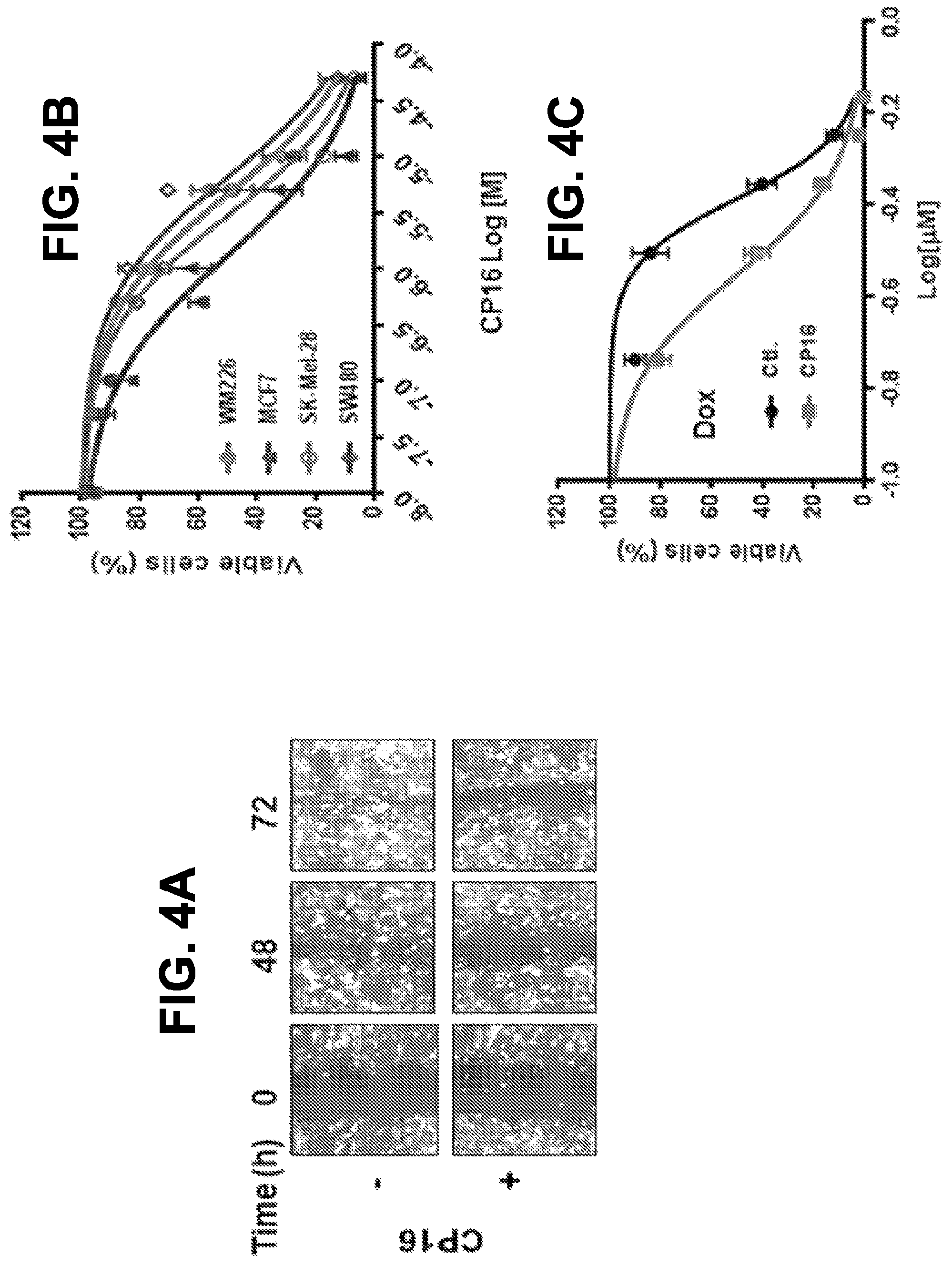 Patent US12297176 Figure 4 – Compounds and methods for inhibiting EMT pathways to treat cancer, organ fibrosis and metabolic disorders