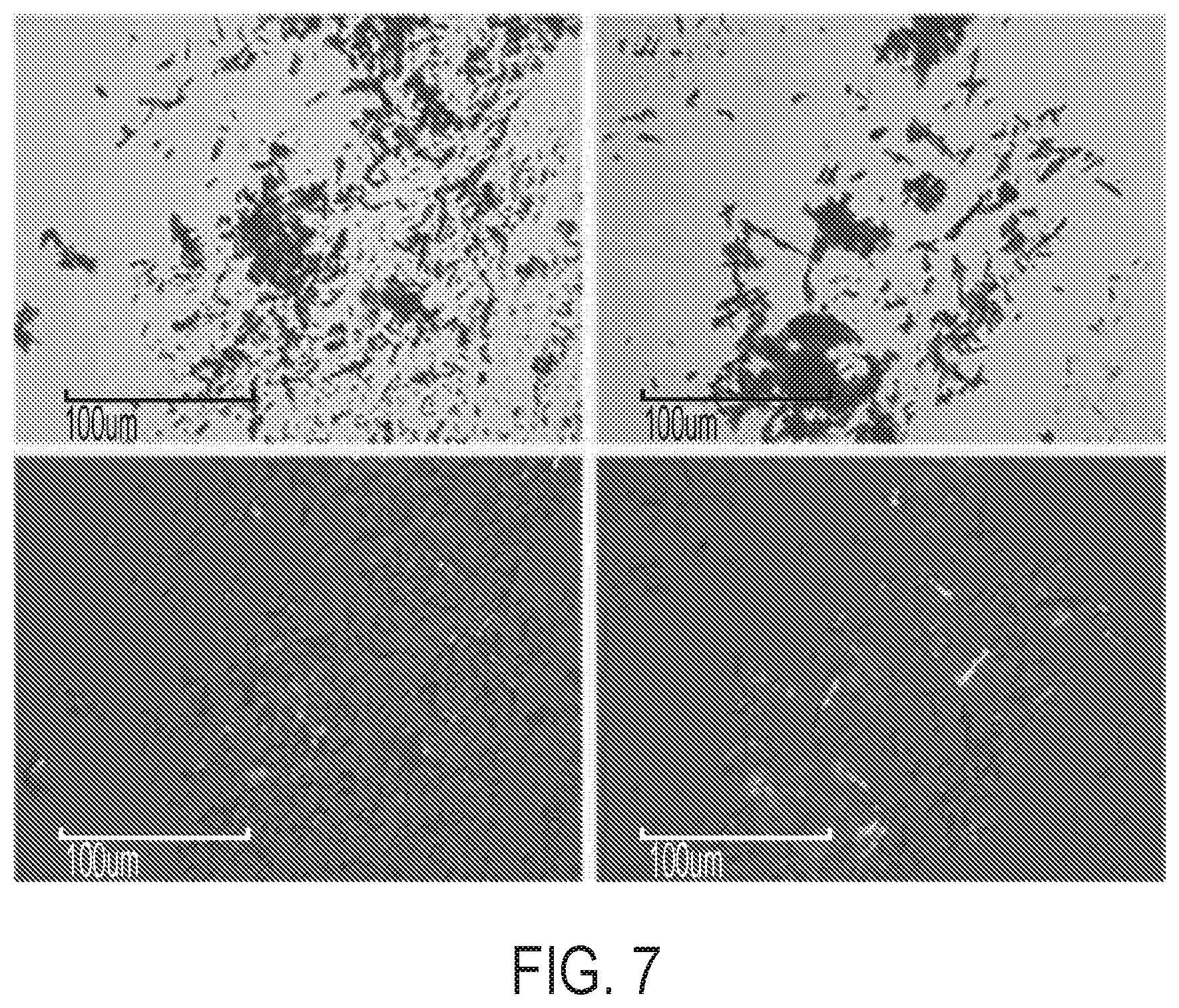 Patent US12297184 Figure 7 – Niraparib salts