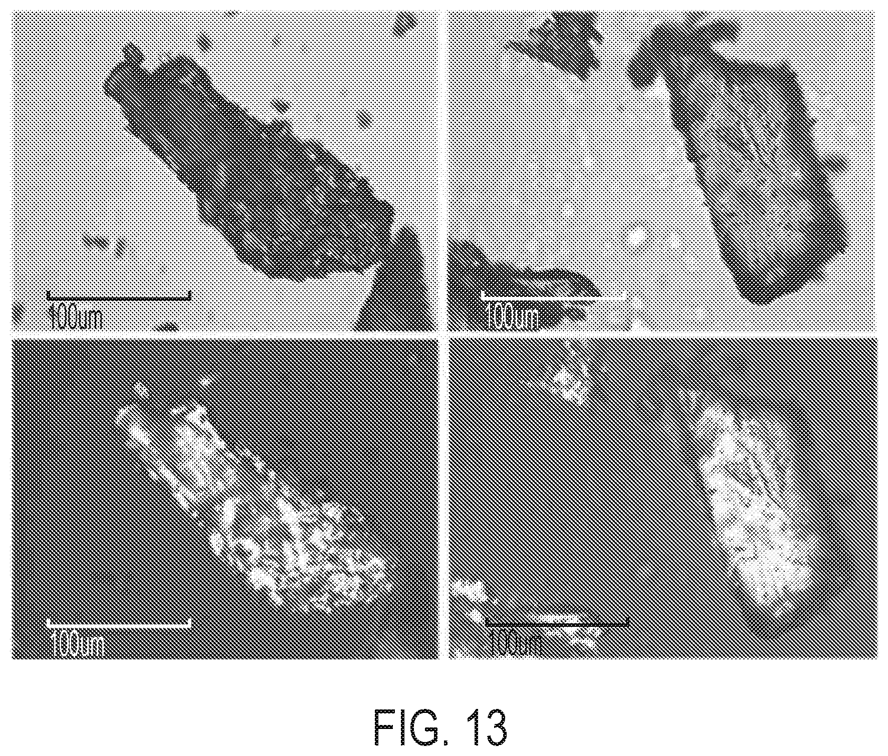 Patent US12297184 Figure 13 – Niraparib salts