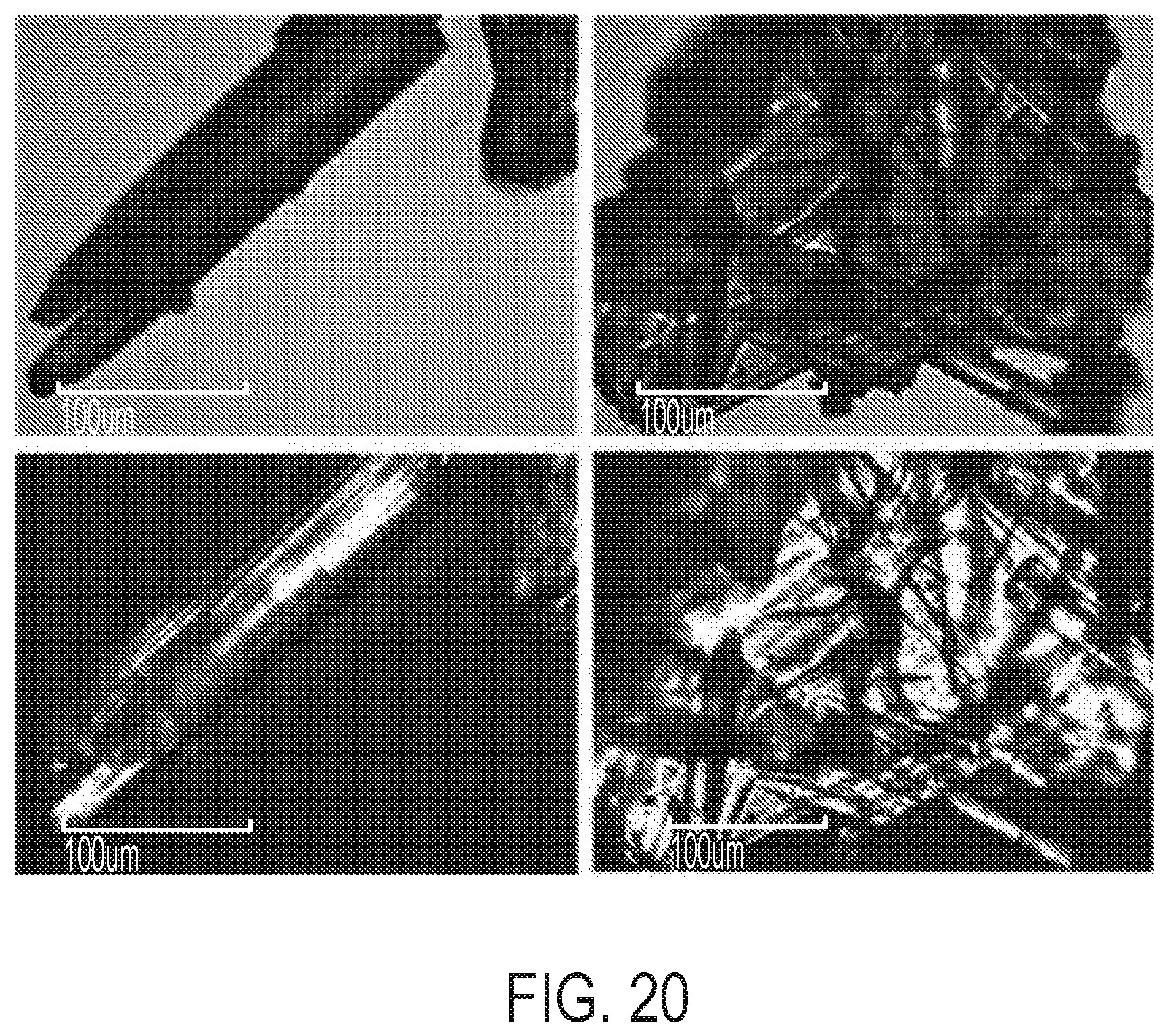 Patent US12297184 Figure 20 – Niraparib salts
