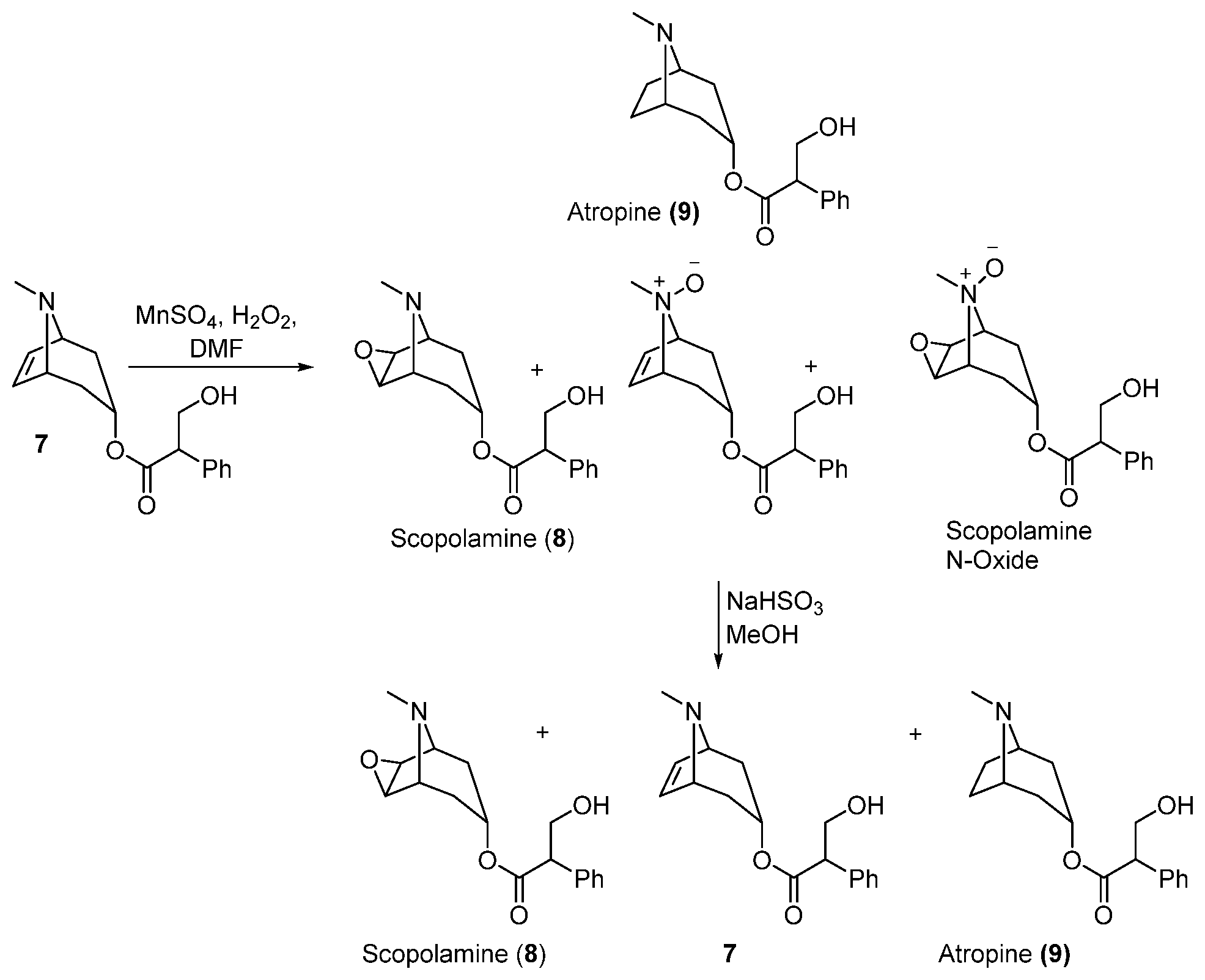 Patent US12297195 Figure 1 – Synthetic route to scopolamine and/or atropine