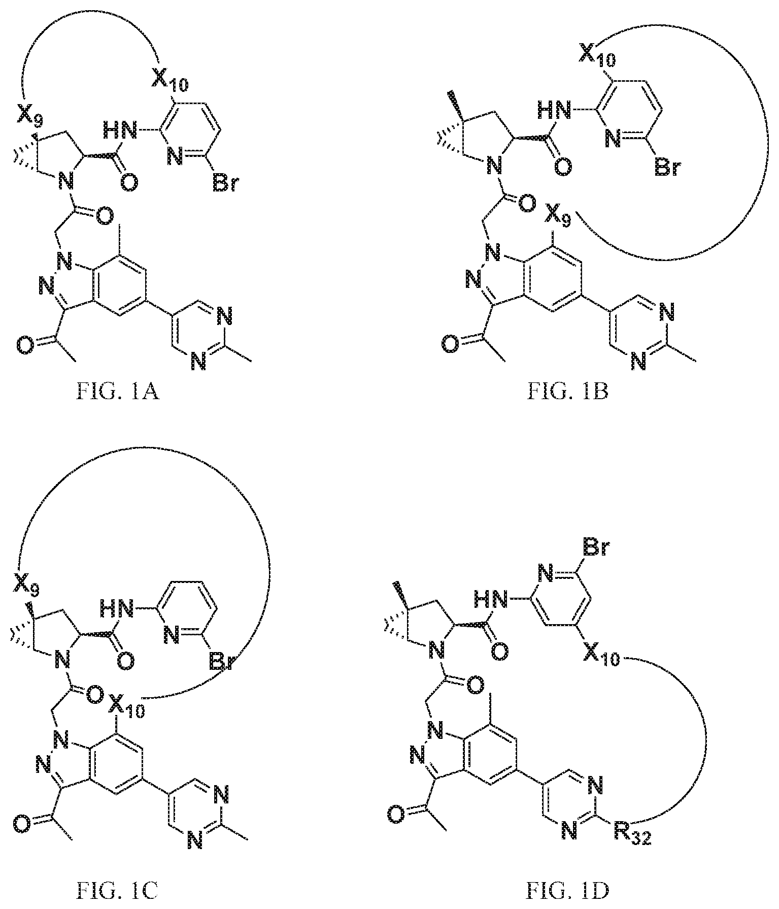 Patent US12297205 — Macrocyclic compounds for treatment of medical disorders — Figure 1
