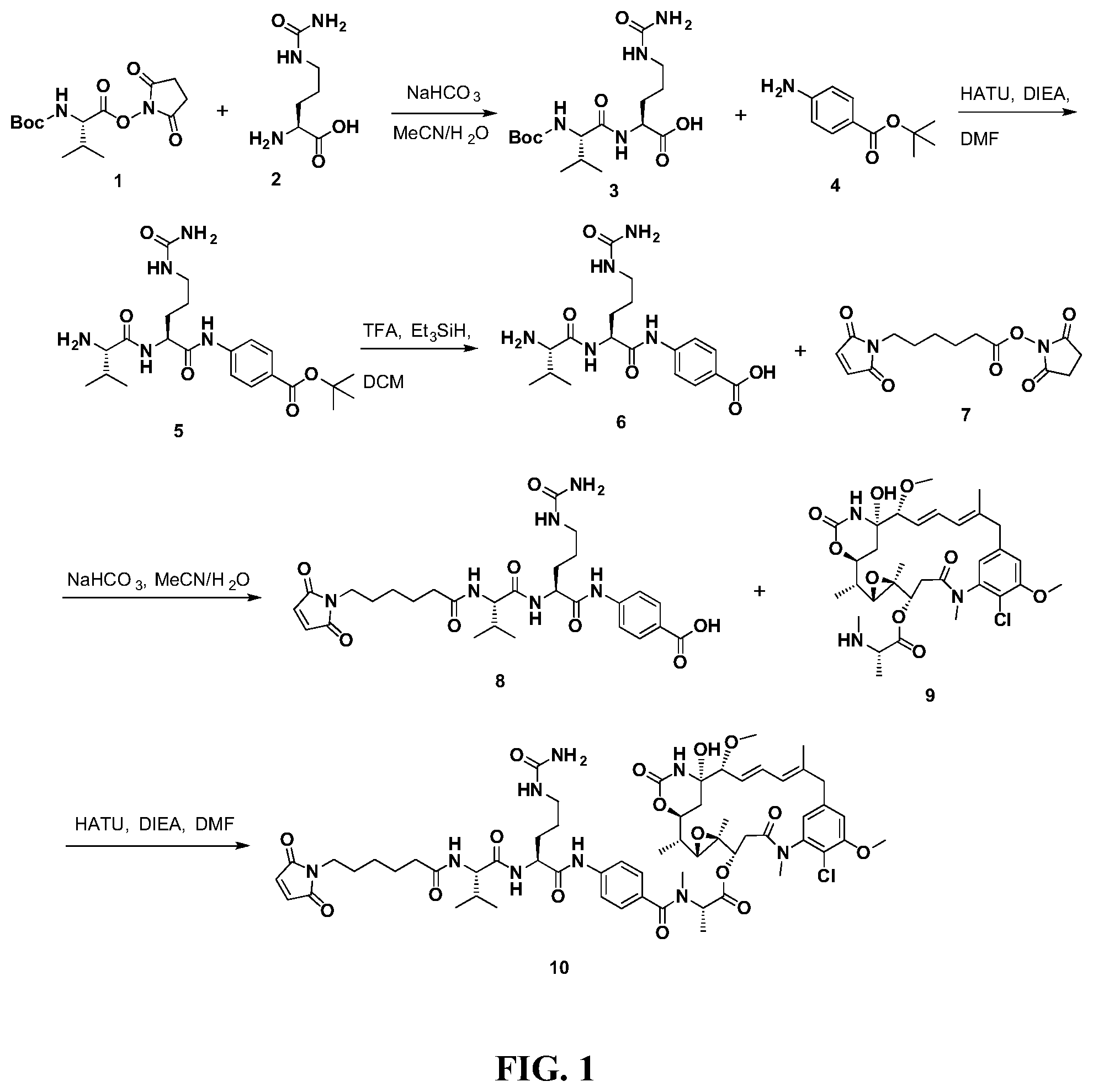 Patent US12297207 Figure 1 – Maytansinoid derivatives, conjugates thereof, and methods of use