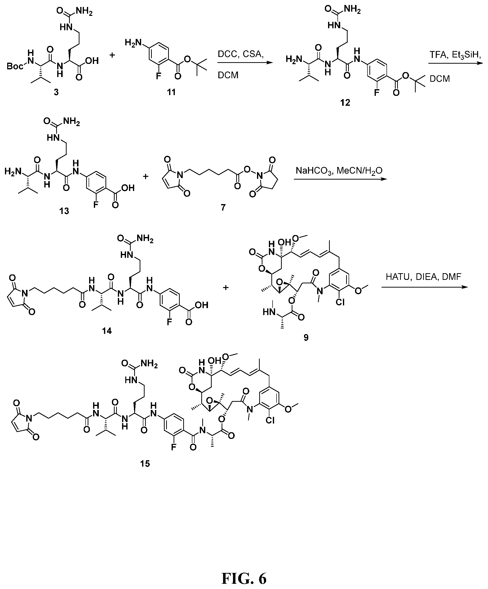 Patent US12297207 Figure 6 – Maytansinoid derivatives, conjugates thereof, and methods of use