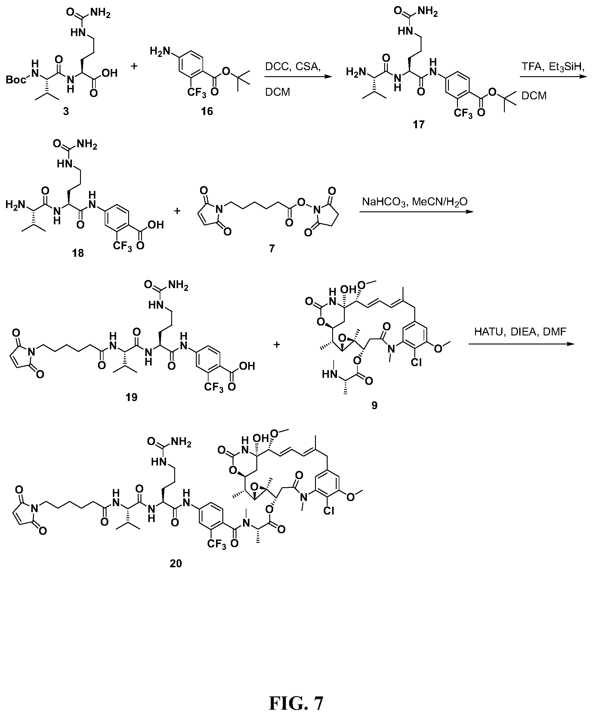 Patent US12297207 Figure 7 – Maytansinoid derivatives, conjugates thereof, and methods of use