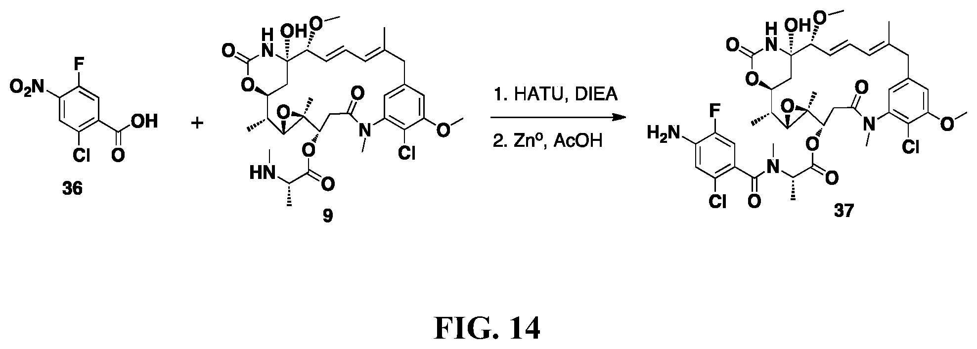 Patent US12297207 Figure 14 – Maytansinoid derivatives, conjugates thereof, and methods of use