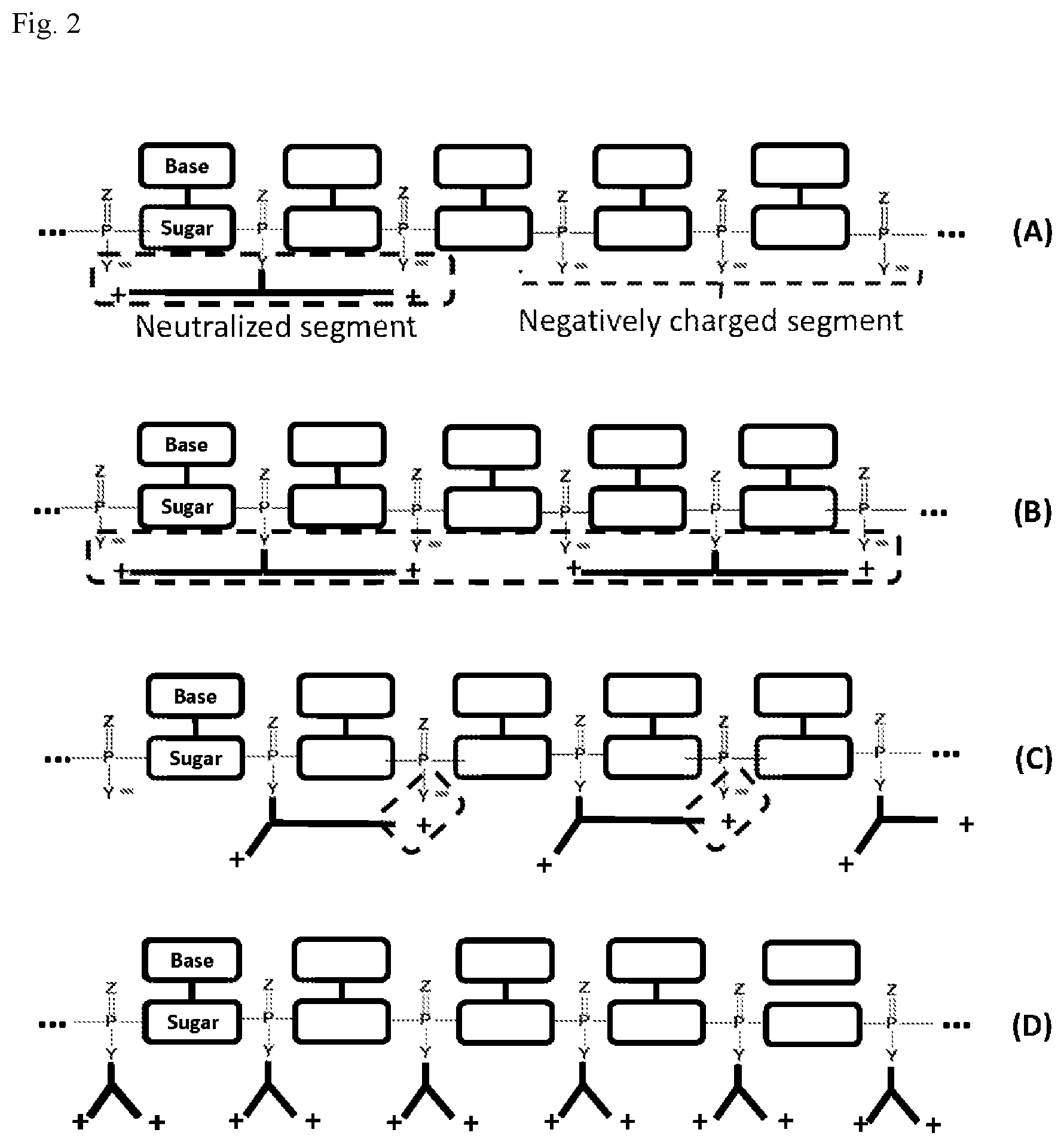 Patent US12297225 Figure 2 – Detection method for natural and modified small nucleic acids