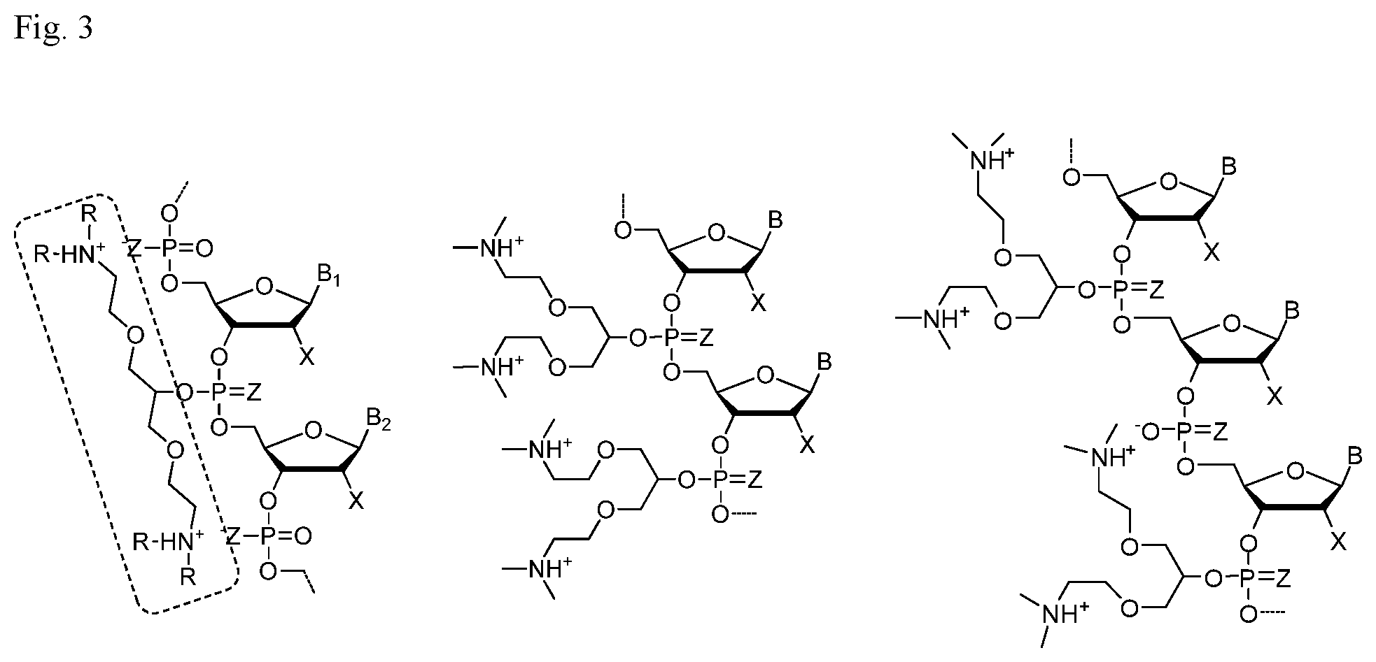 Patent US12297225 Figure 3 – Detection method for natural and modified small nucleic acids