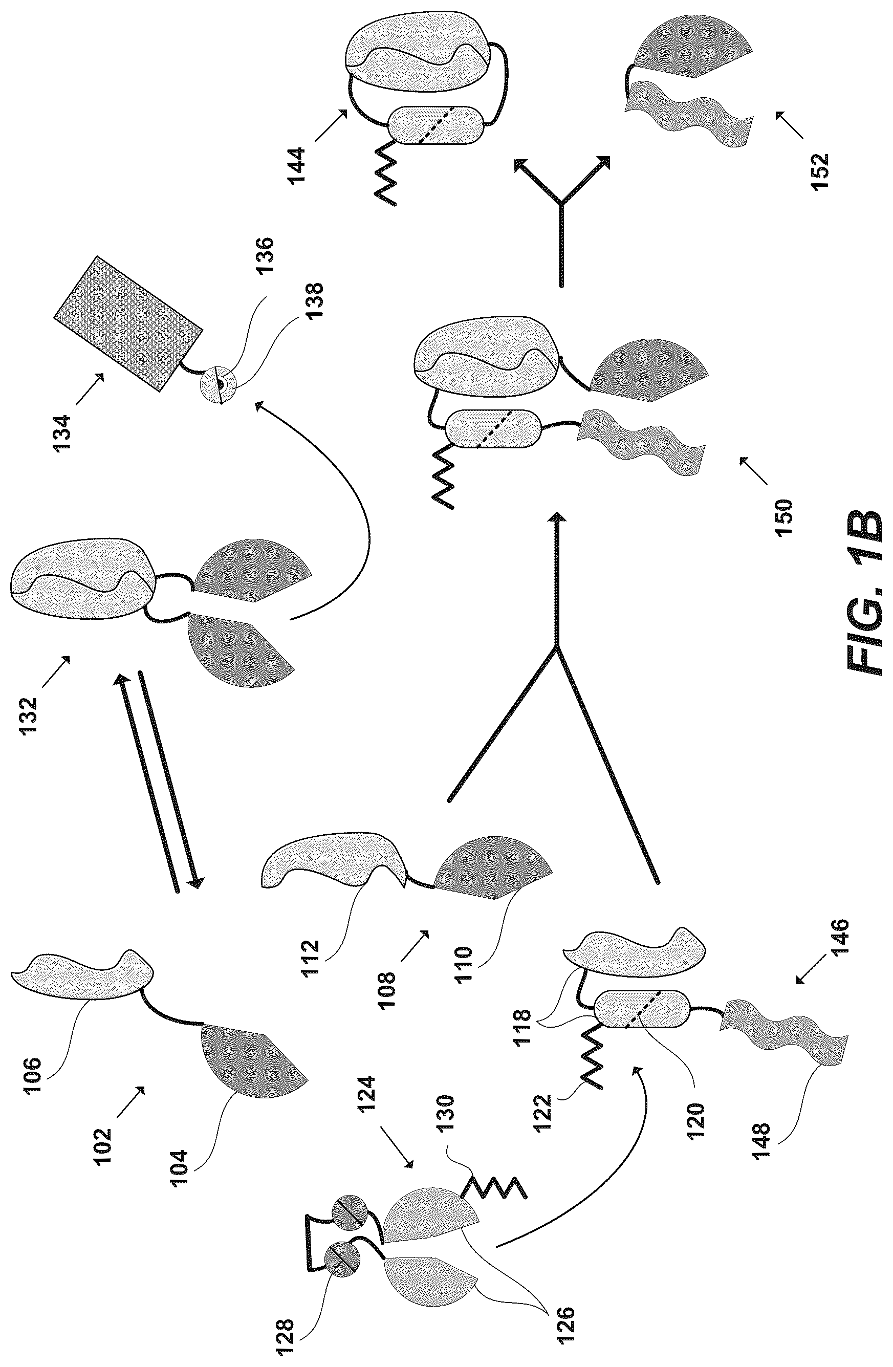 Patent US12297230 Figure 2 – Synthetic system for tunable thresholding of protein signals